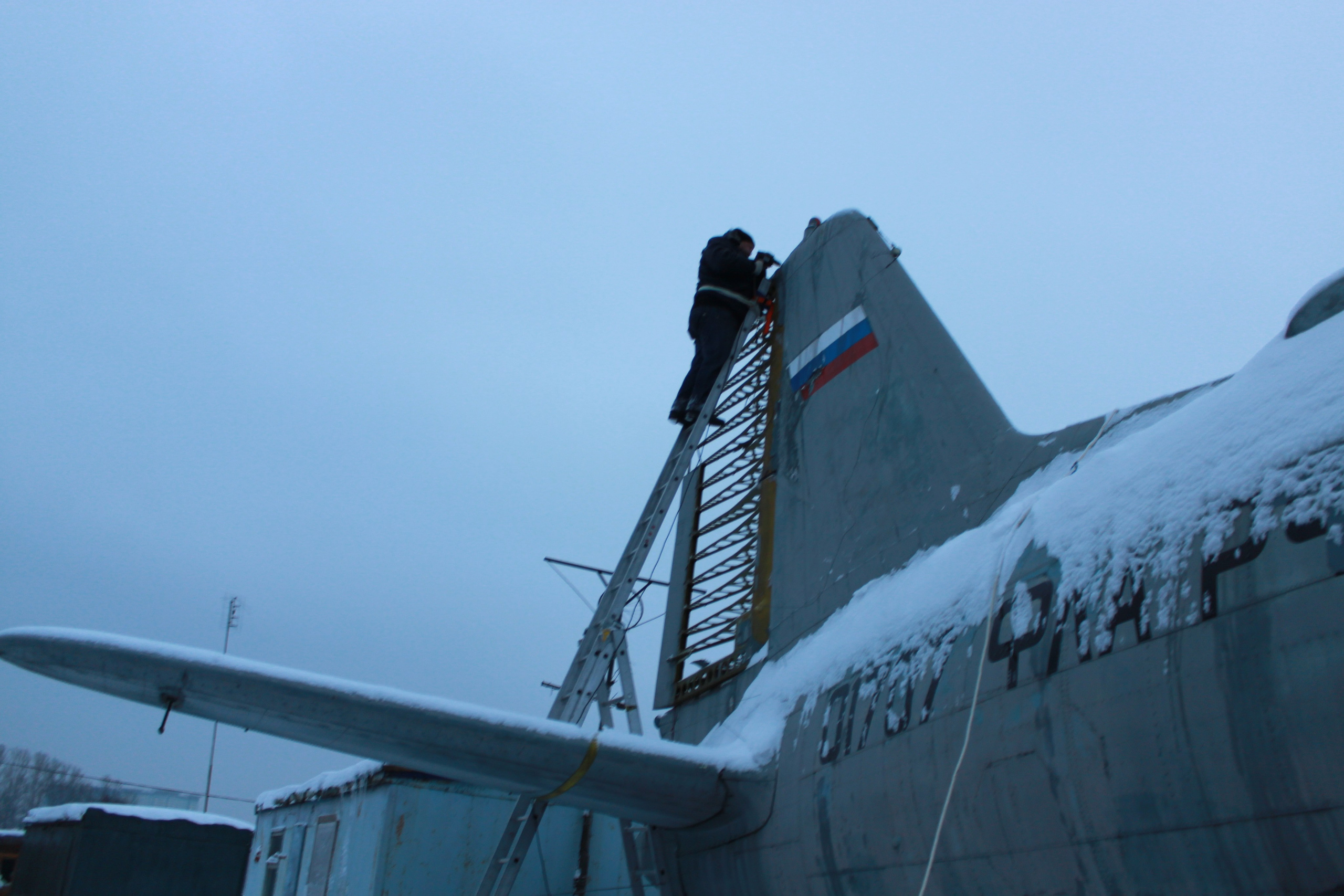 Ил-14Т «Голубая Мечта» работы в Тушино (2011 г.). Фотоальбом показывающий увлекательный мир авиации и мир медведей Андрея Иванова