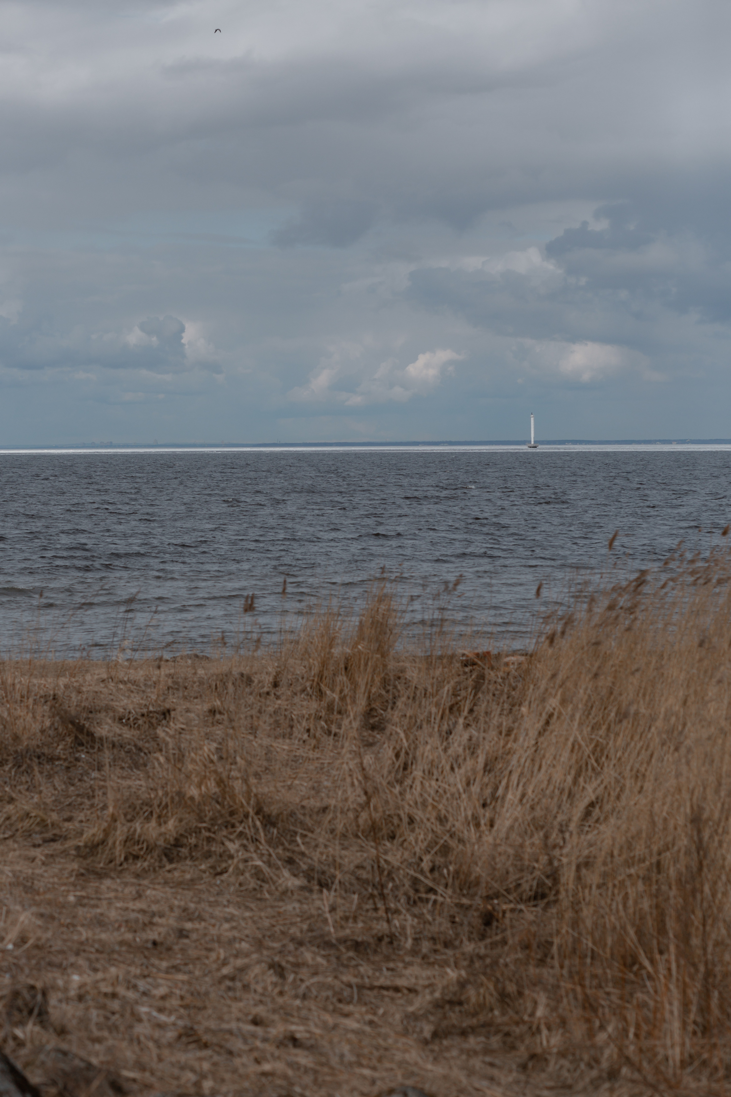 Аня и Илья. Свадебный фотограф в Санкт — Петербурге и Ленинградской о