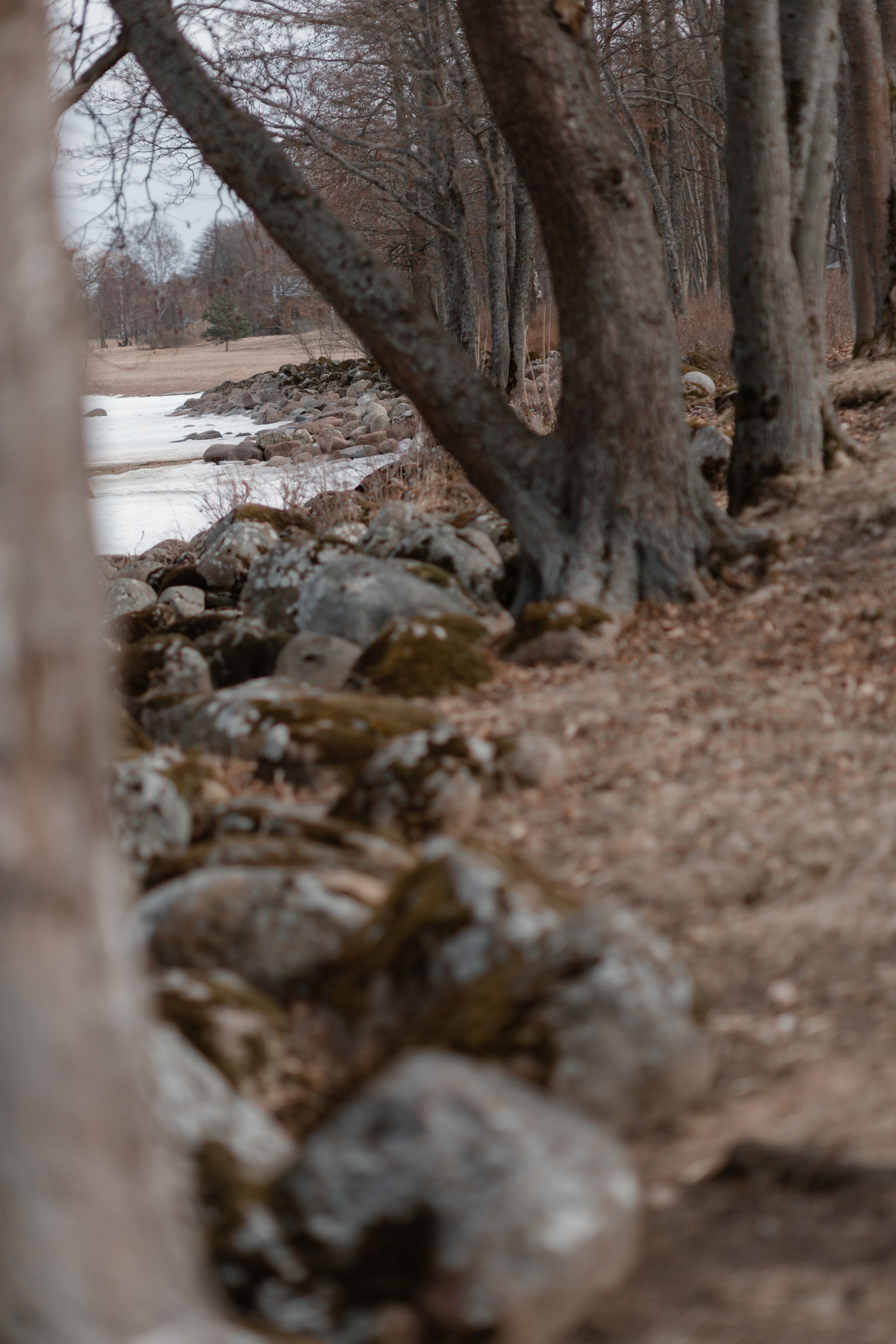 Аня и Илья. Свадебный фотограф в Санкт — Петербурге и Ленинградской о