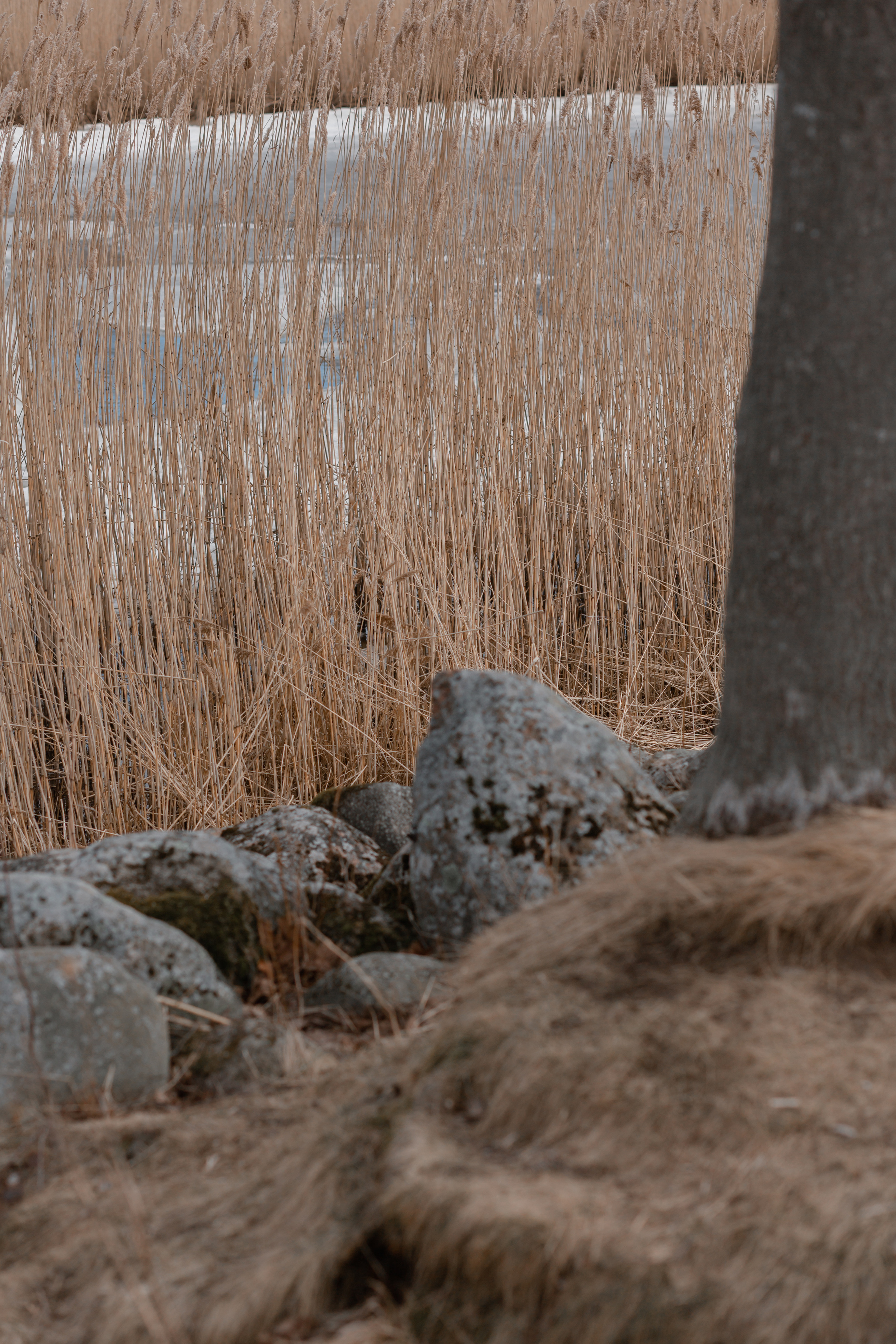 Аня и Илья. Свадебный фотограф в Санкт — Петербурге и Ленинградской о