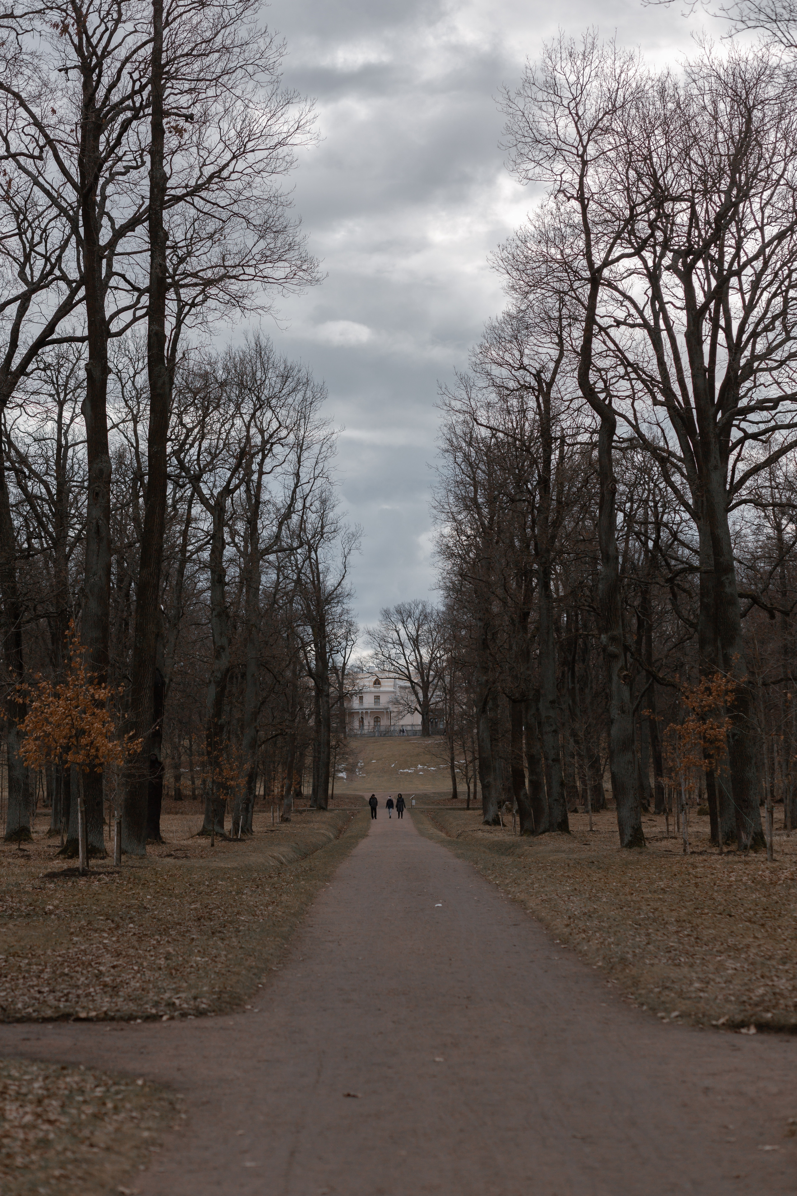 Аня и Илья. Свадебный фотограф в Санкт — Петербурге и Ленинградской о