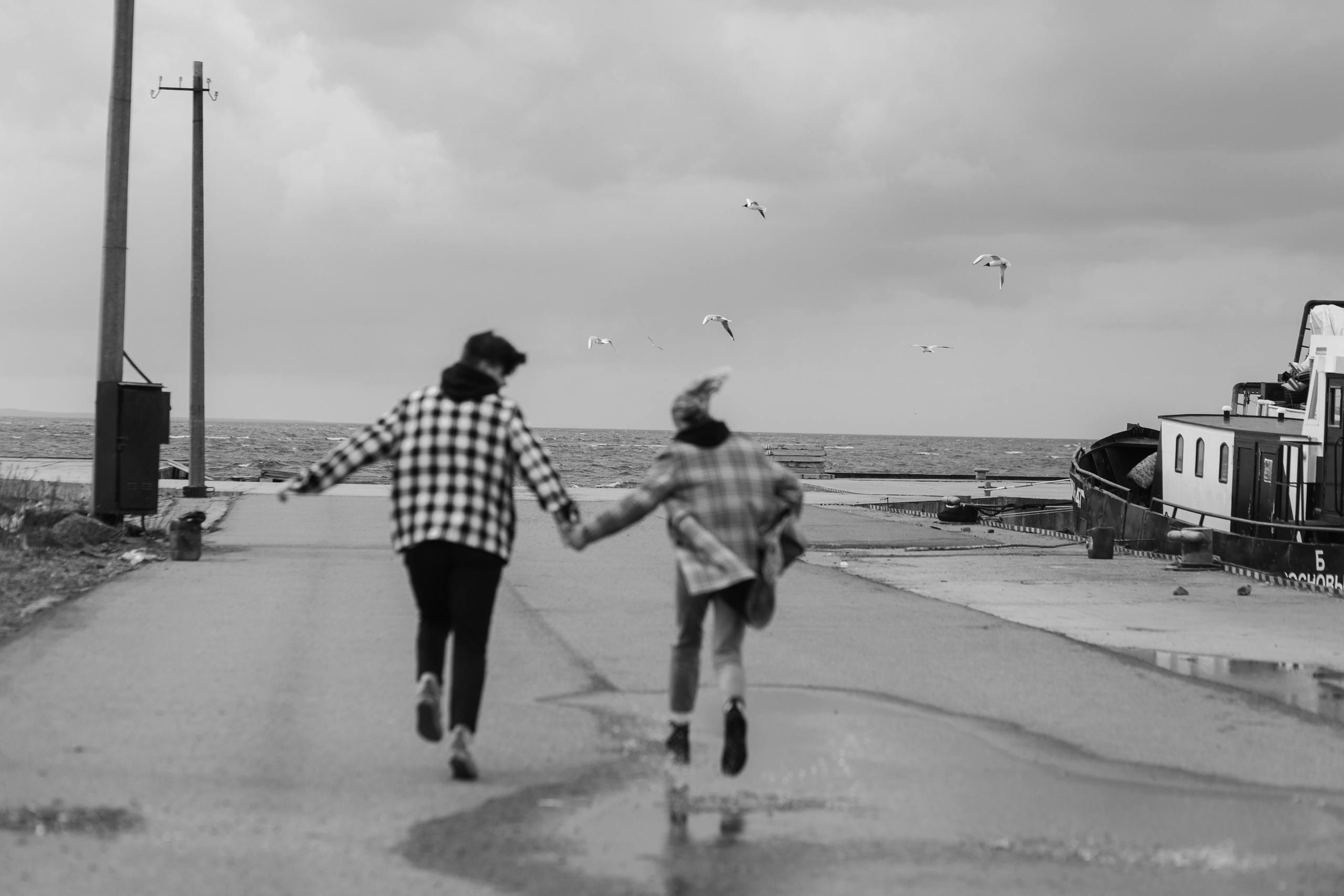 Саша и Полина. Чайки. Пирс. Финский. Свадебный фотограф в Санкт — Петербурге и Ленинградской о