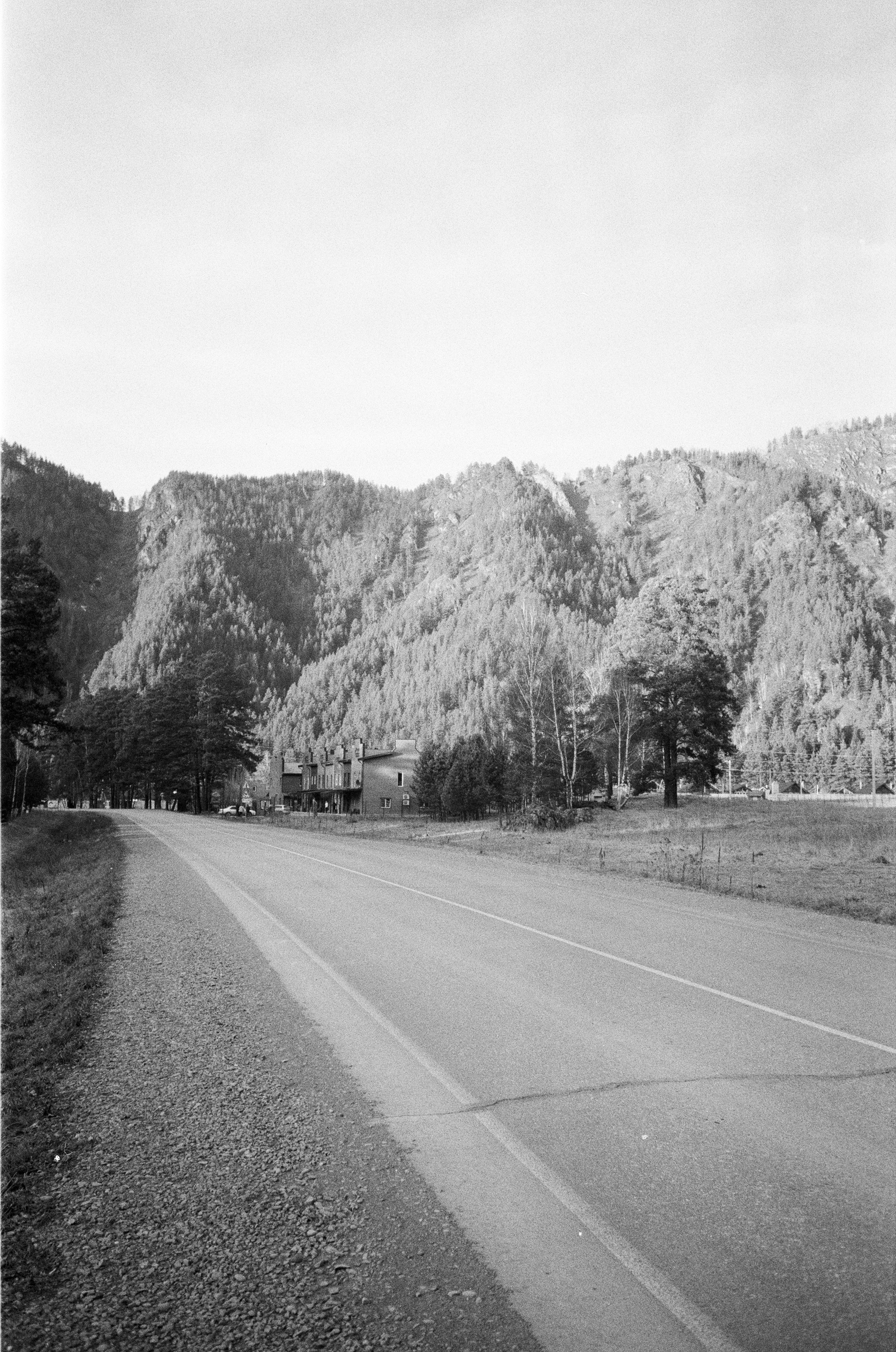 Olympus AF-10 SUPER / Ilford PAN 400 / Алтай, зима 2023 год