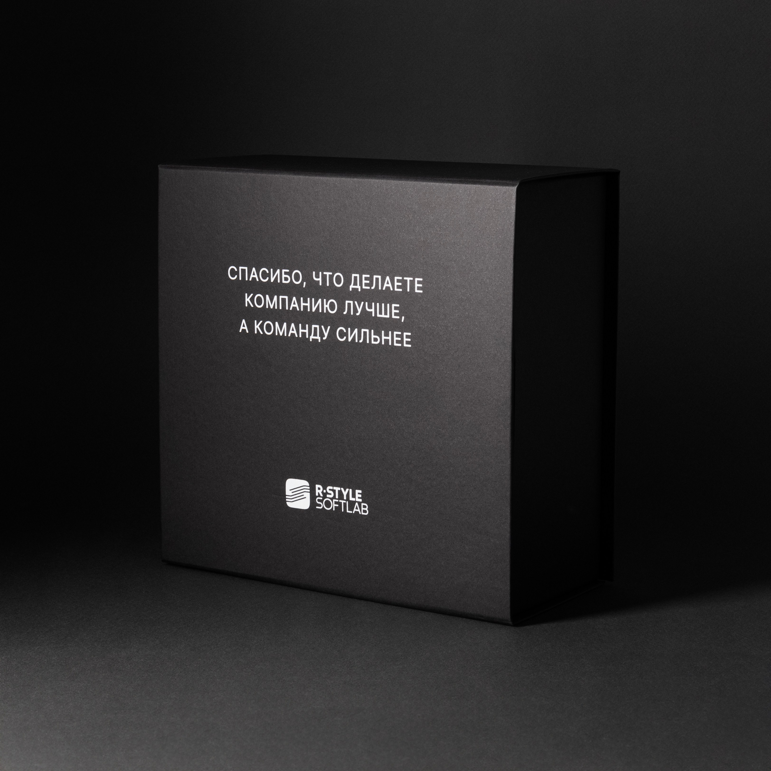 R‑Style Softlab. Романова Александра фотограф в Москве