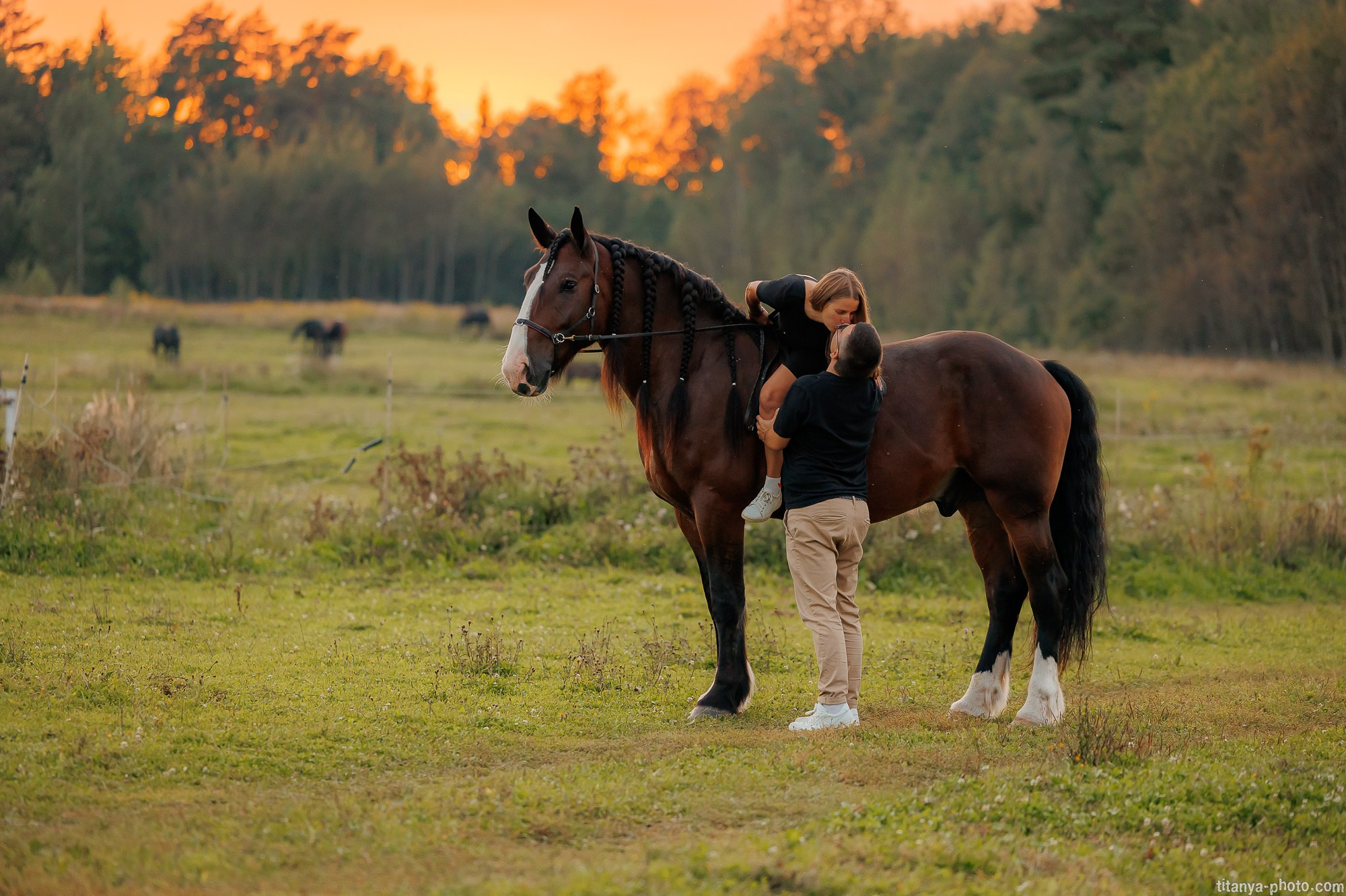 Закатная семейная фотосессия: про Настю и её дружную семью. Фотограф собак, фотограф-анималист Аня Титова (Titanya). Москва