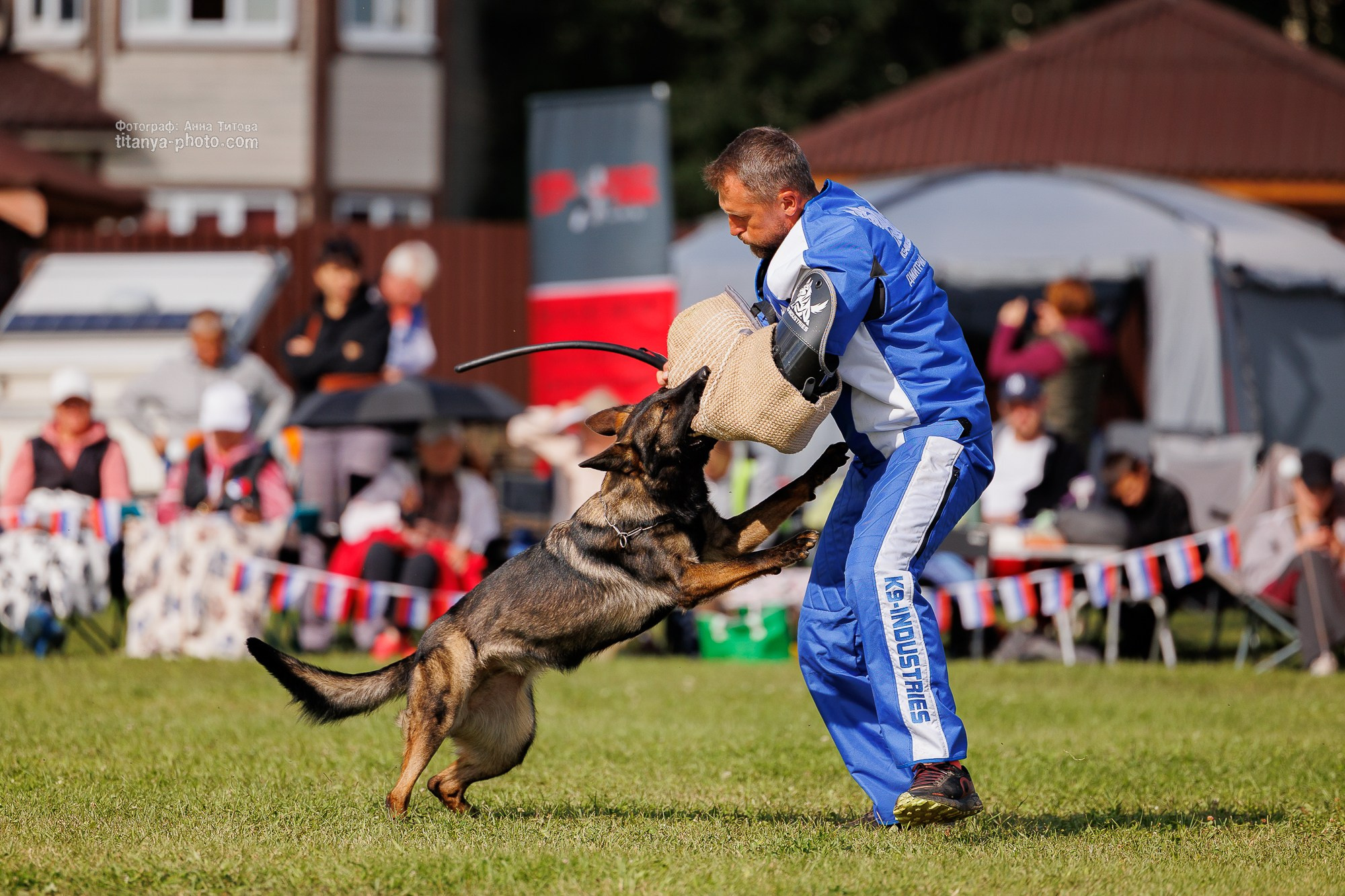 Немецкие овчарки: фото из рингов и вне ринга, мутпроба (фотографии с выставок). Фотограф собак, фотограф-анималист Аня Титова (Titanya). Москва