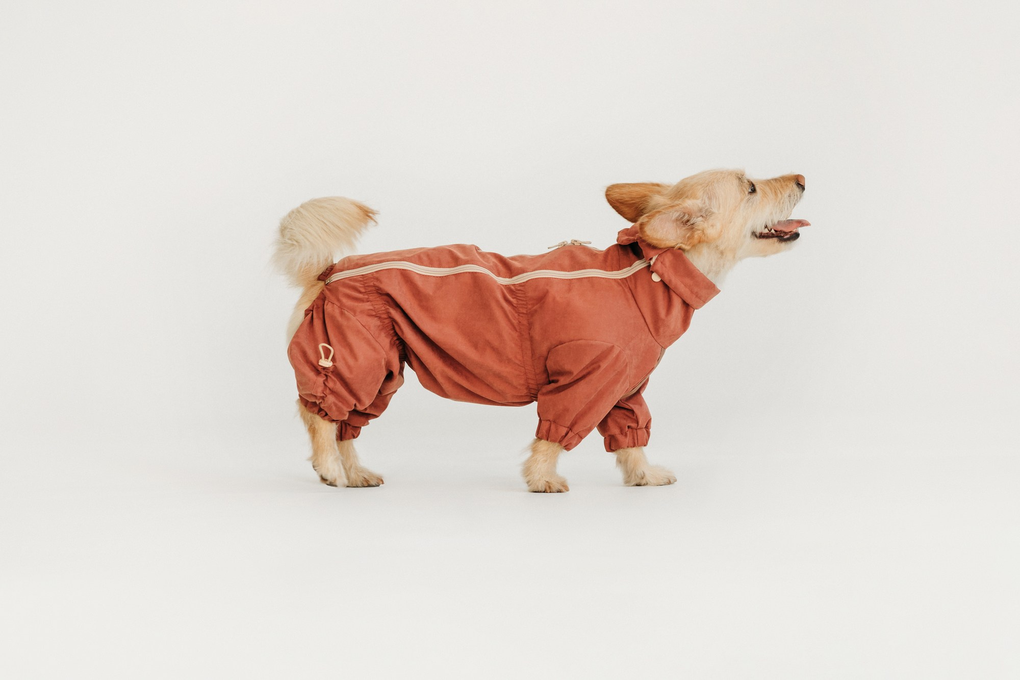 Одежда Lapa`s brand. Фотограф-анималист Елена Радченко, Москва