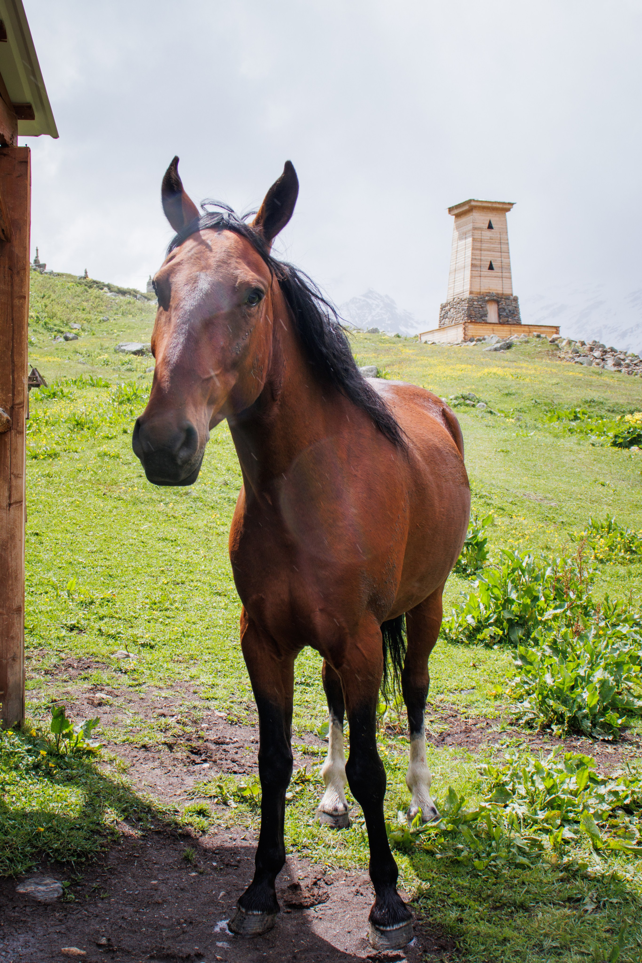 Трекинг / Терскольский водопад. Фотограф на трекинг и восхождение Эльбрус, Приэльбрусье. Елизавета Бобок