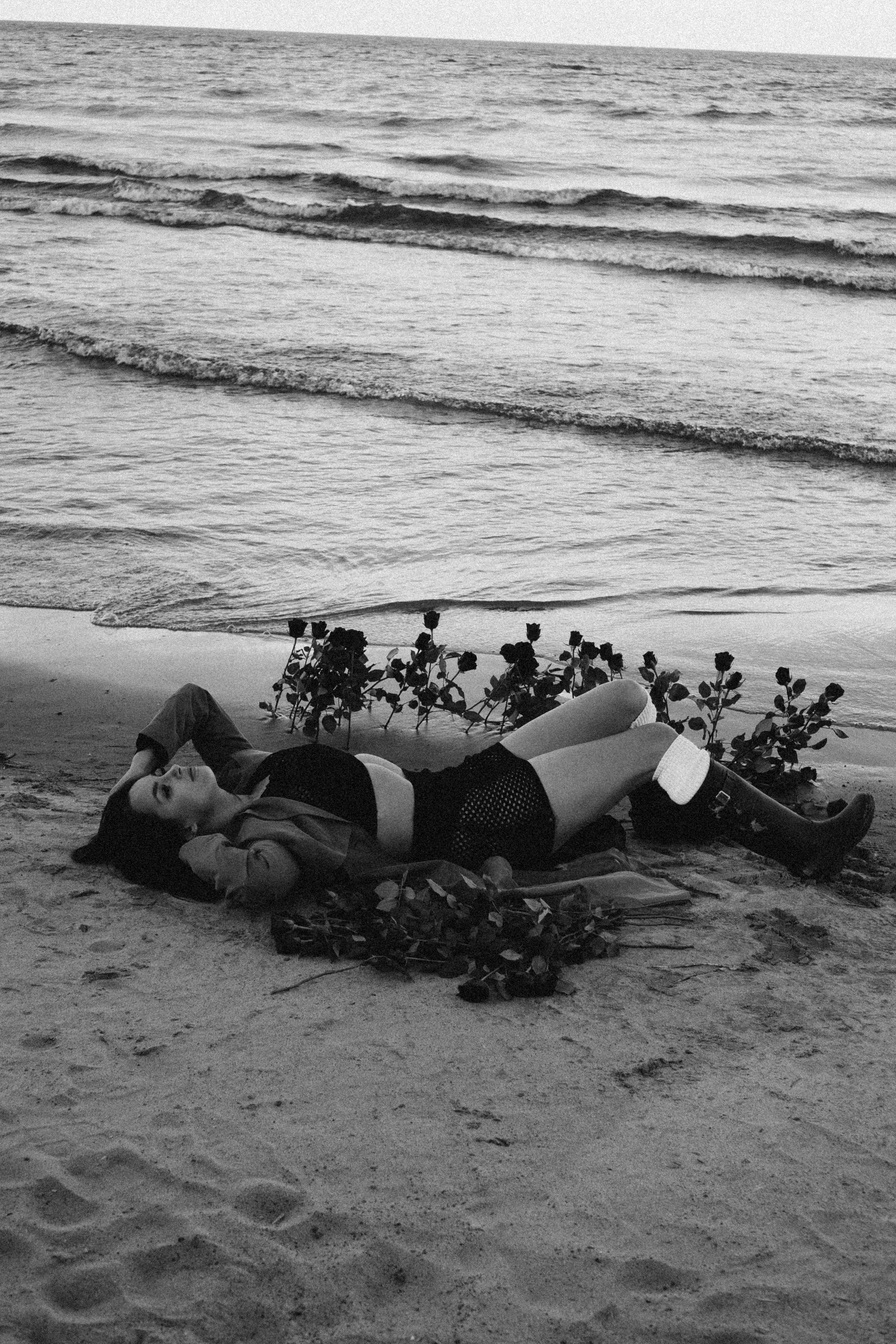 Розы. Профессиональный фотограф, Санкт-Петербург — Виктория Богомолова