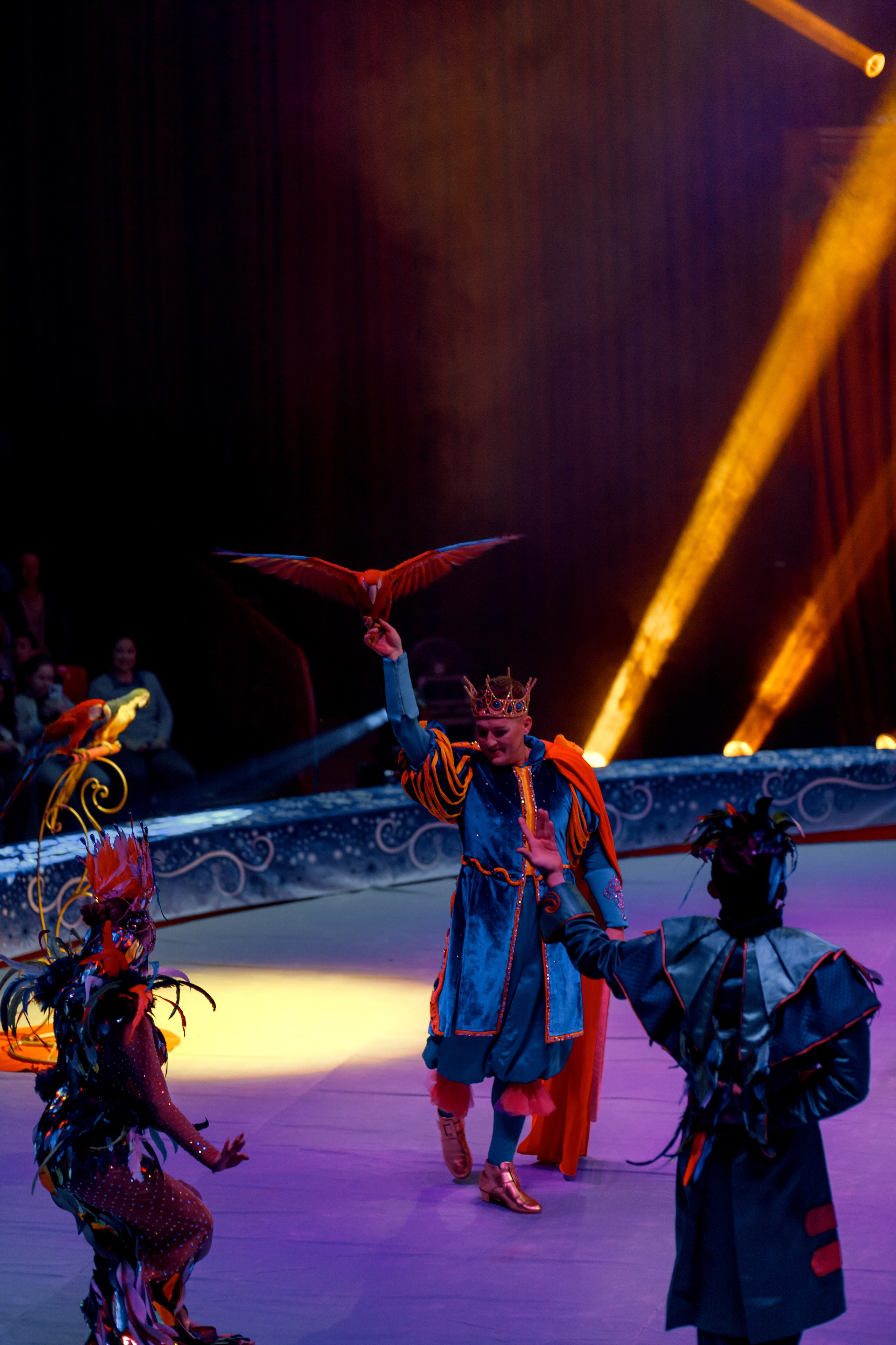 Цирк Moretti в Иркутске. Свадебный фотограф Иркутск, репортажный фотограф Иркутск