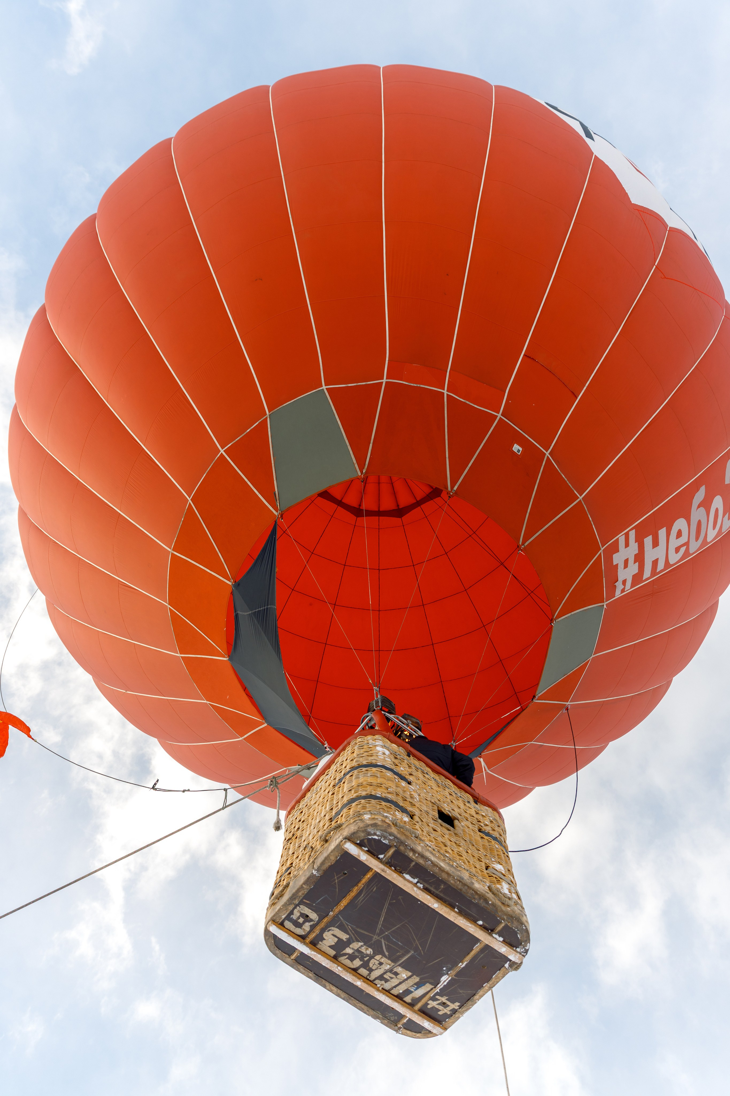 ЯБЛОКИ НА СНЕГУ. Свадебный фотограф Иркутск, репортажный фотограф Иркутск