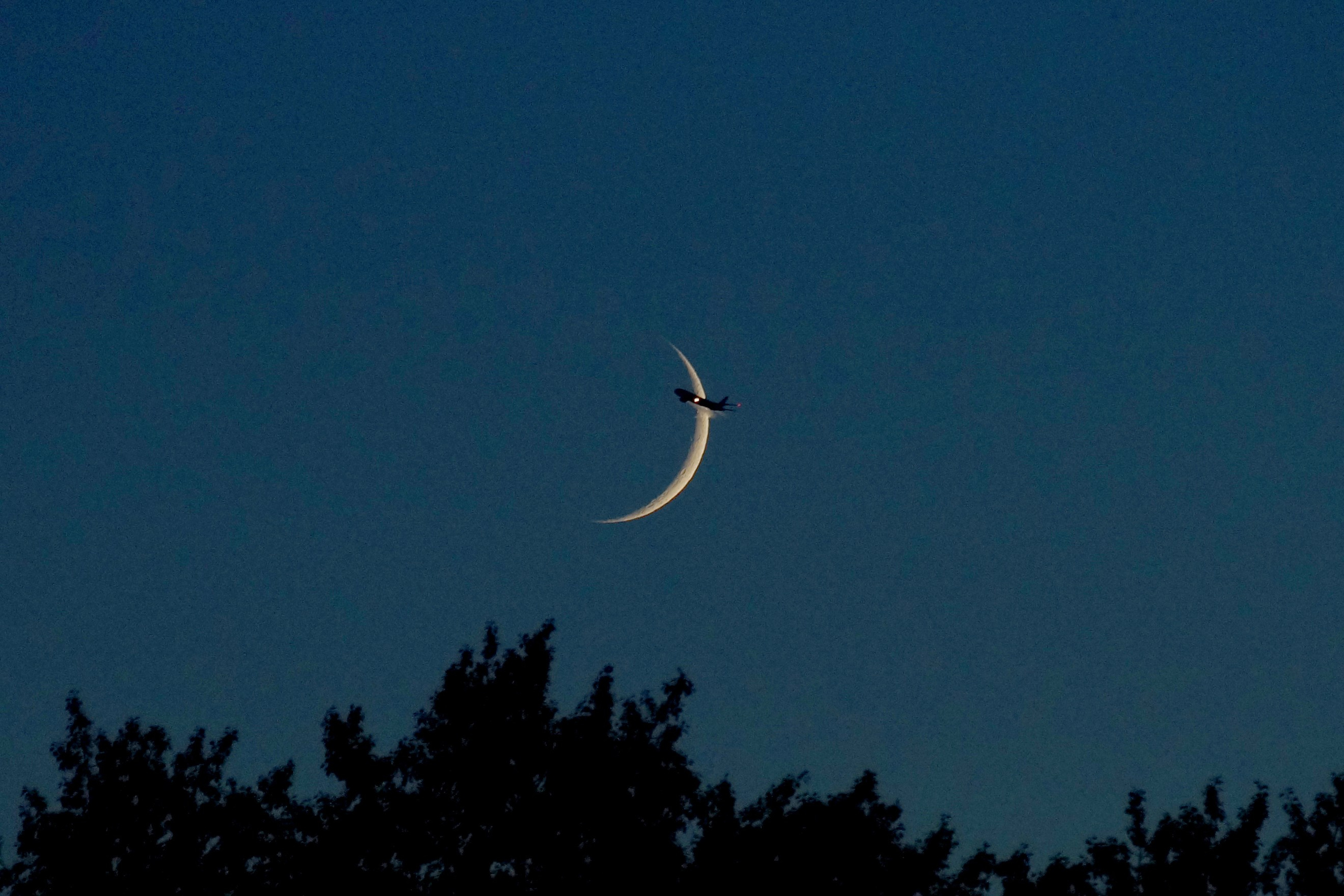 Автор: Гагик Егиазарян