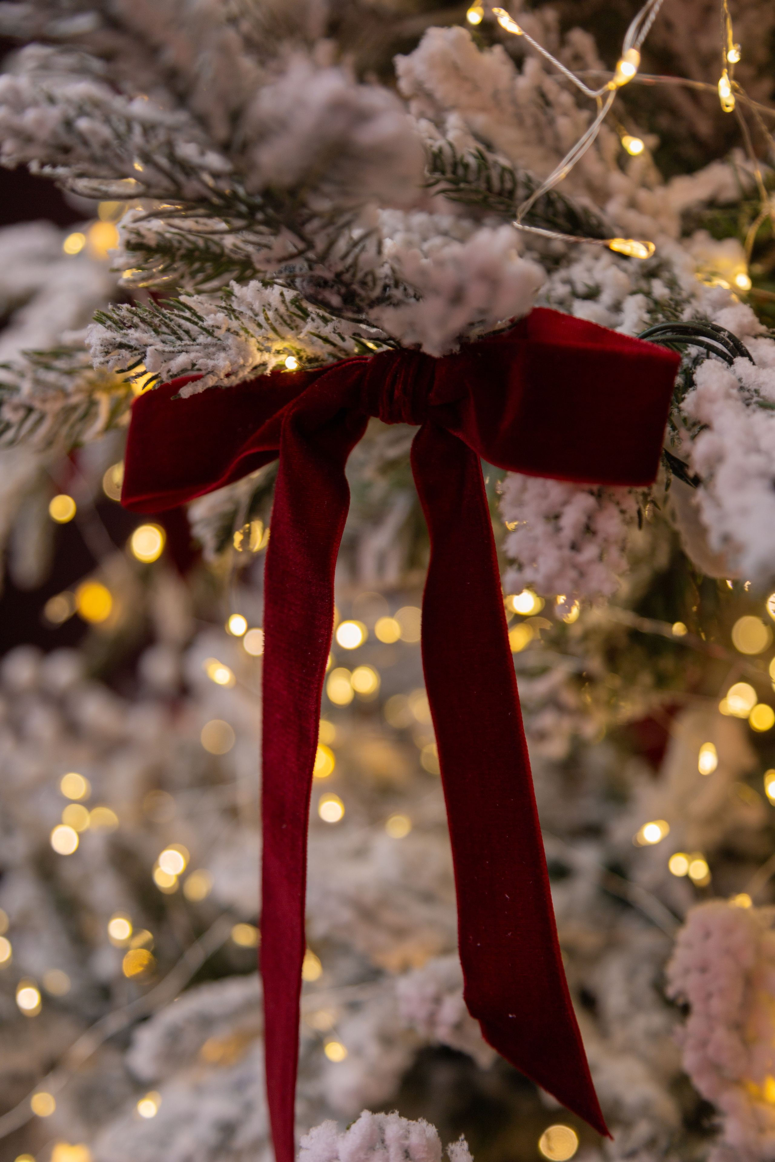 Белый Осел. Детский семейный фотограф Краснодар