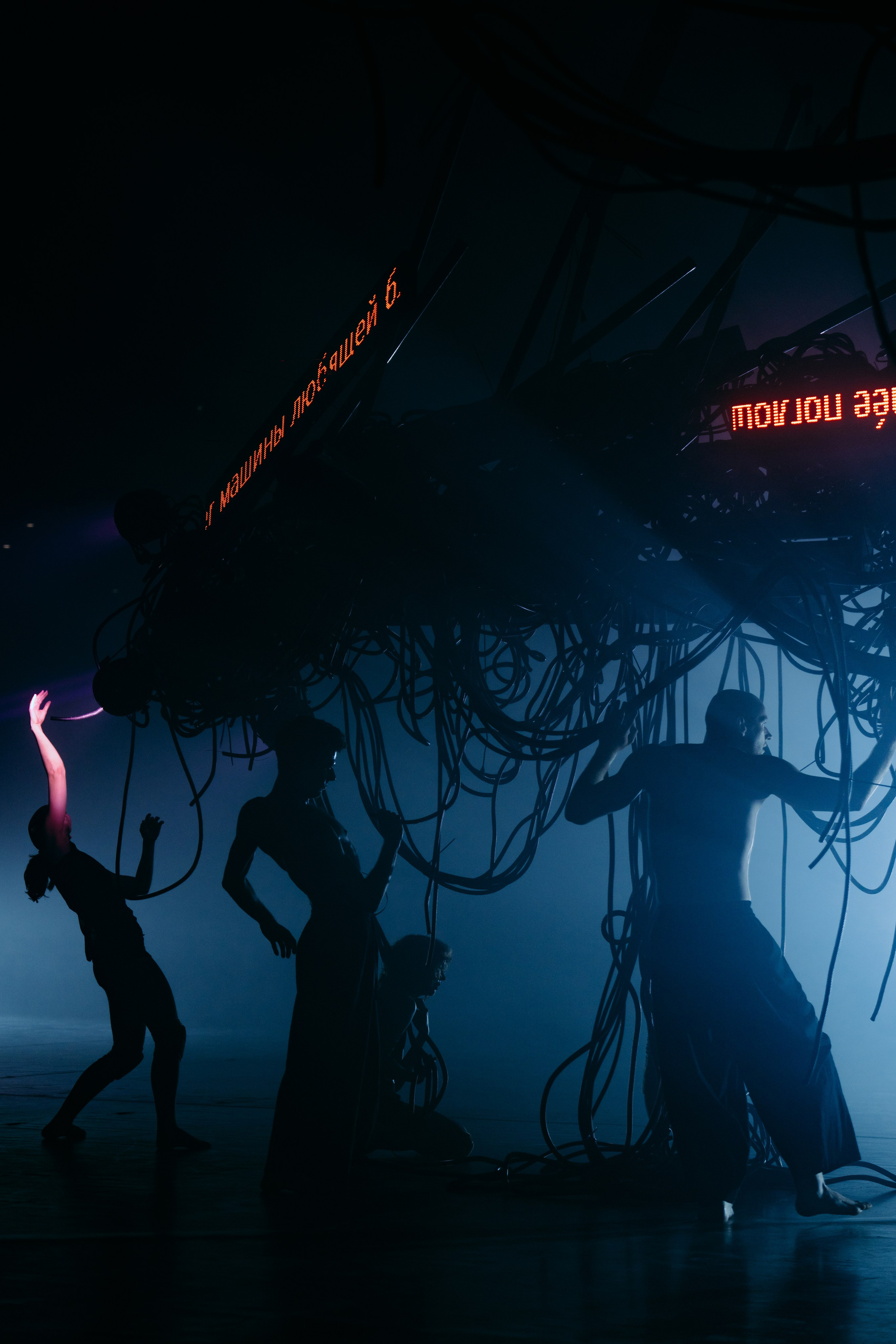 PERFORMA, The Hour of the Horse. @tomrus: Рустам Шагиморданов — фотограф