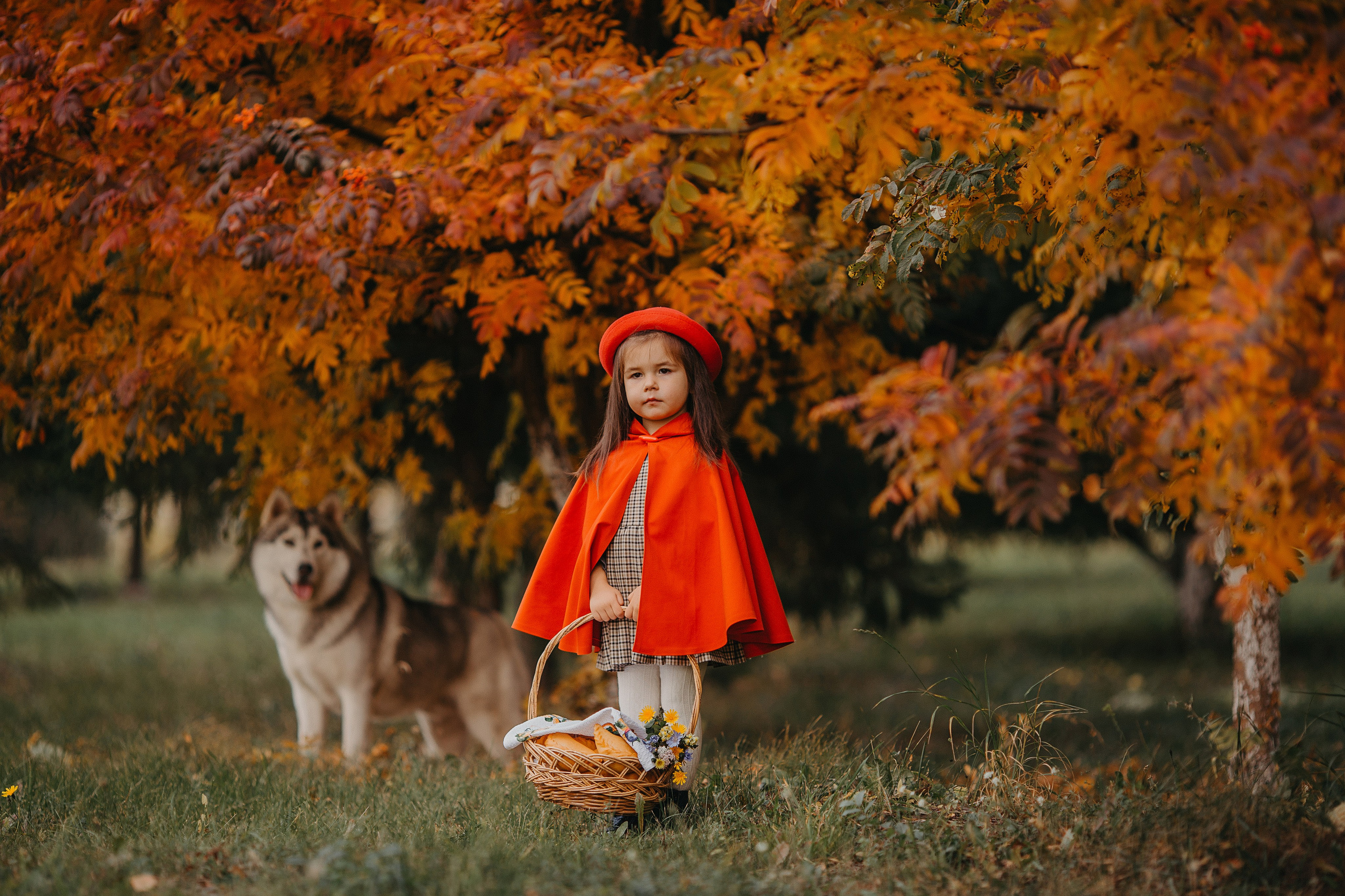 Красная шапочка. Свадебный, семейный и детский фотограф Набережные Челны