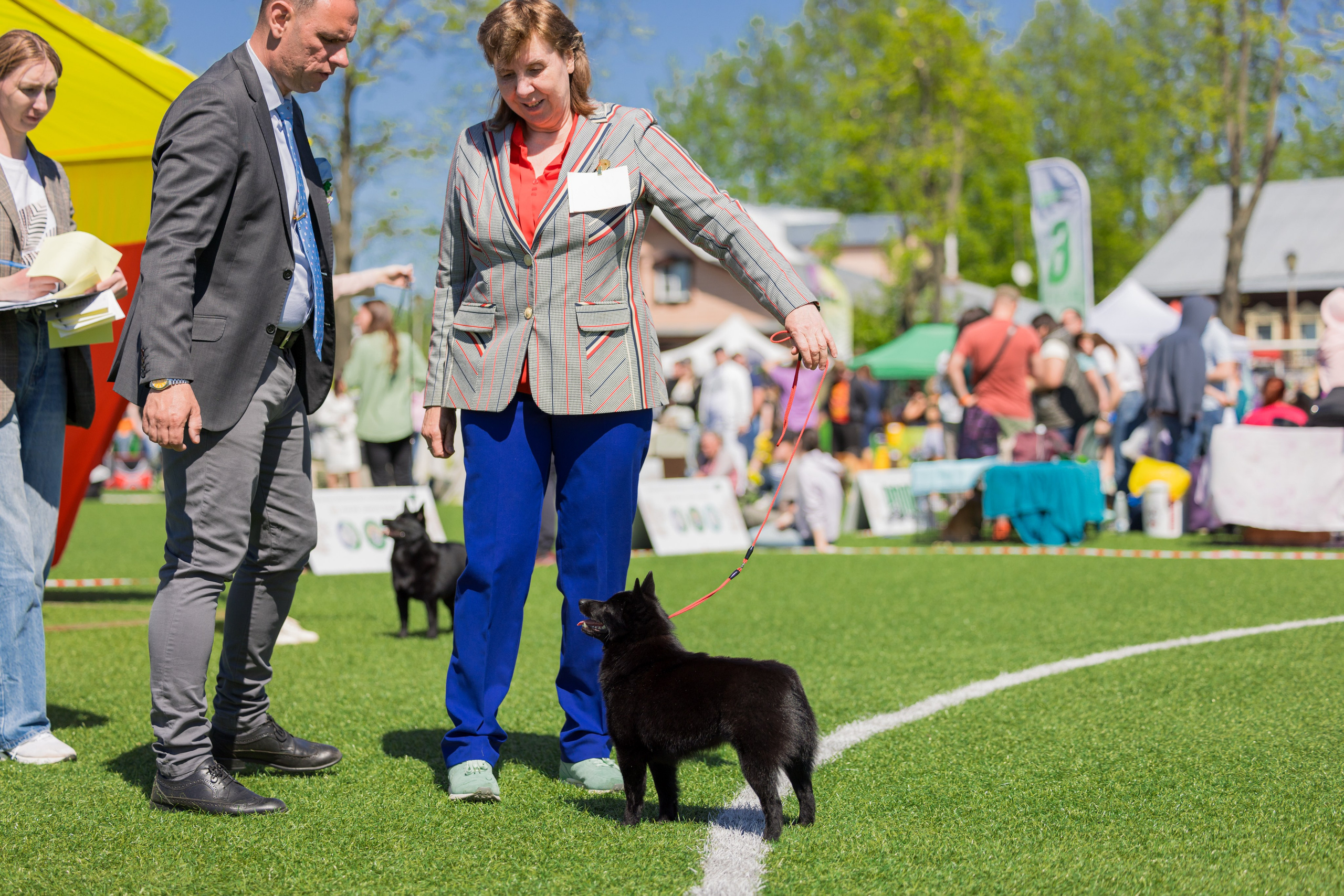 Суздаль 18-19.05.2024. Фотограф-анималист Юлия Германика