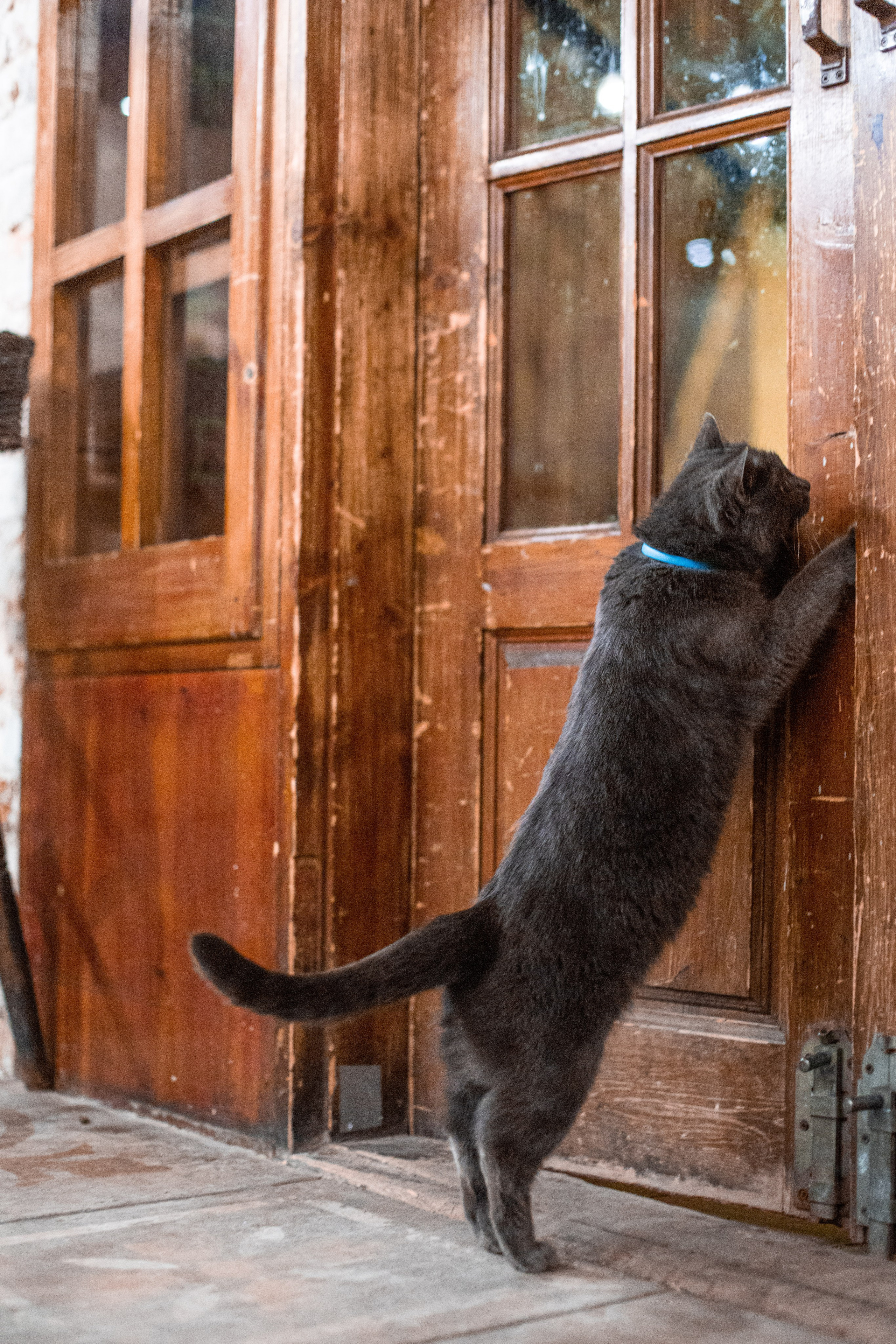 Петр Валентинович. SaGaFOTO.ru