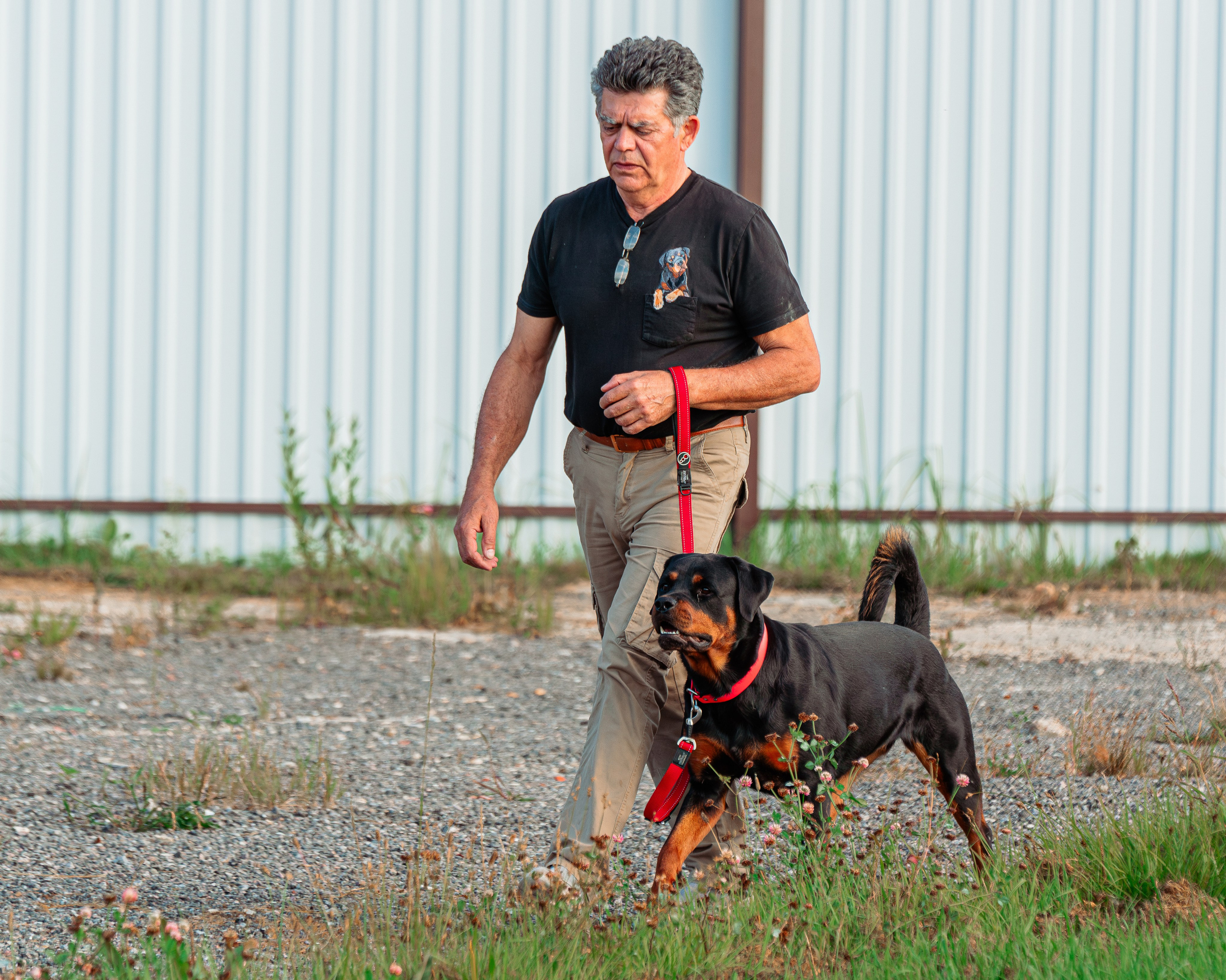 Ваш путь к ПОБЕДЕ (ТРЕНИРОВКИ). Фотограф-анималист, семейный фотограф в Москве и Подмосковье. Фотосъёмка кинологических дисциплин