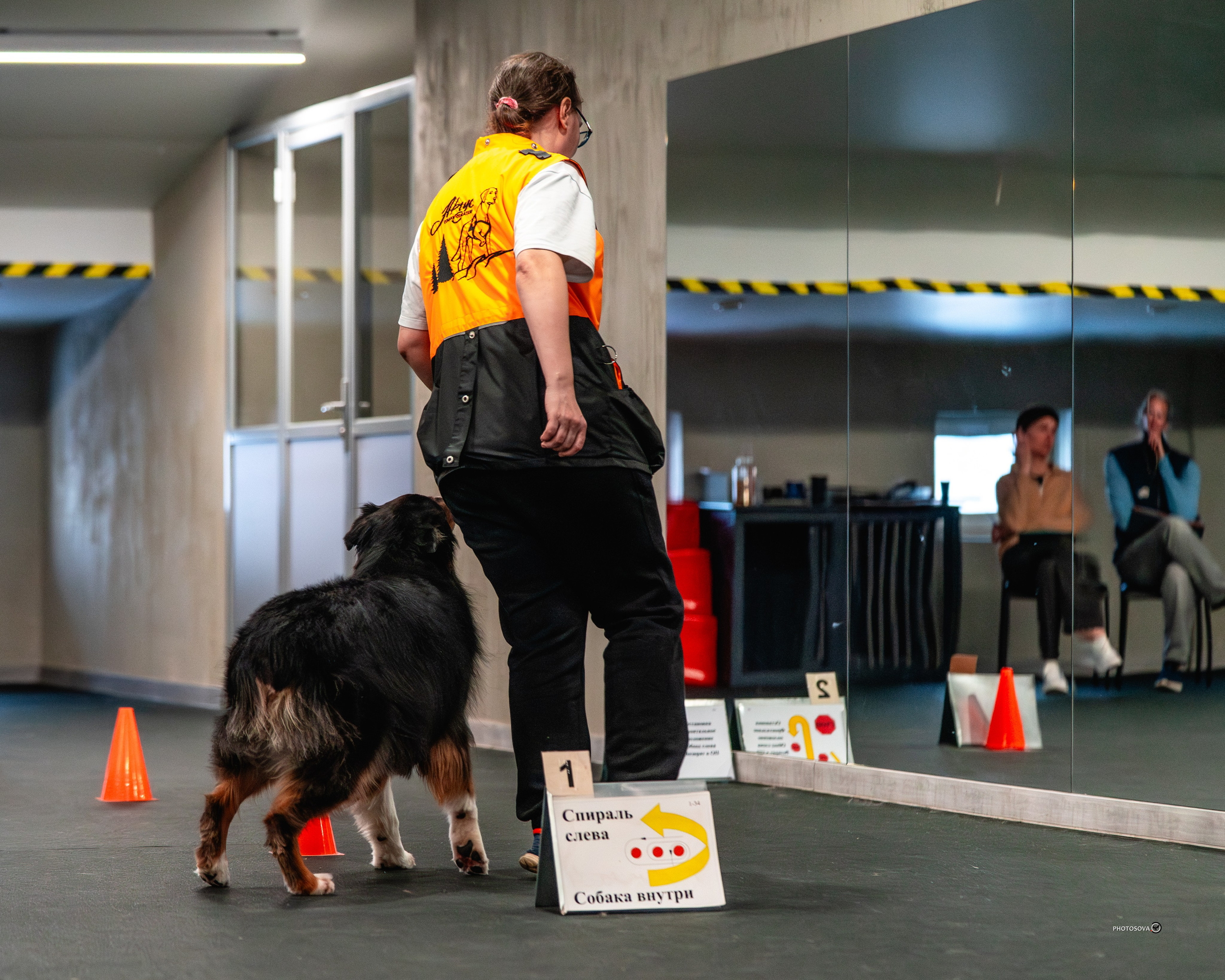 ТЫ И Я (соревнования по ралли-обидиенс). Фотограф-анималист, семейный фотограф в Москве и Подмосковье. Фотосъёмка кинологических дисциплин