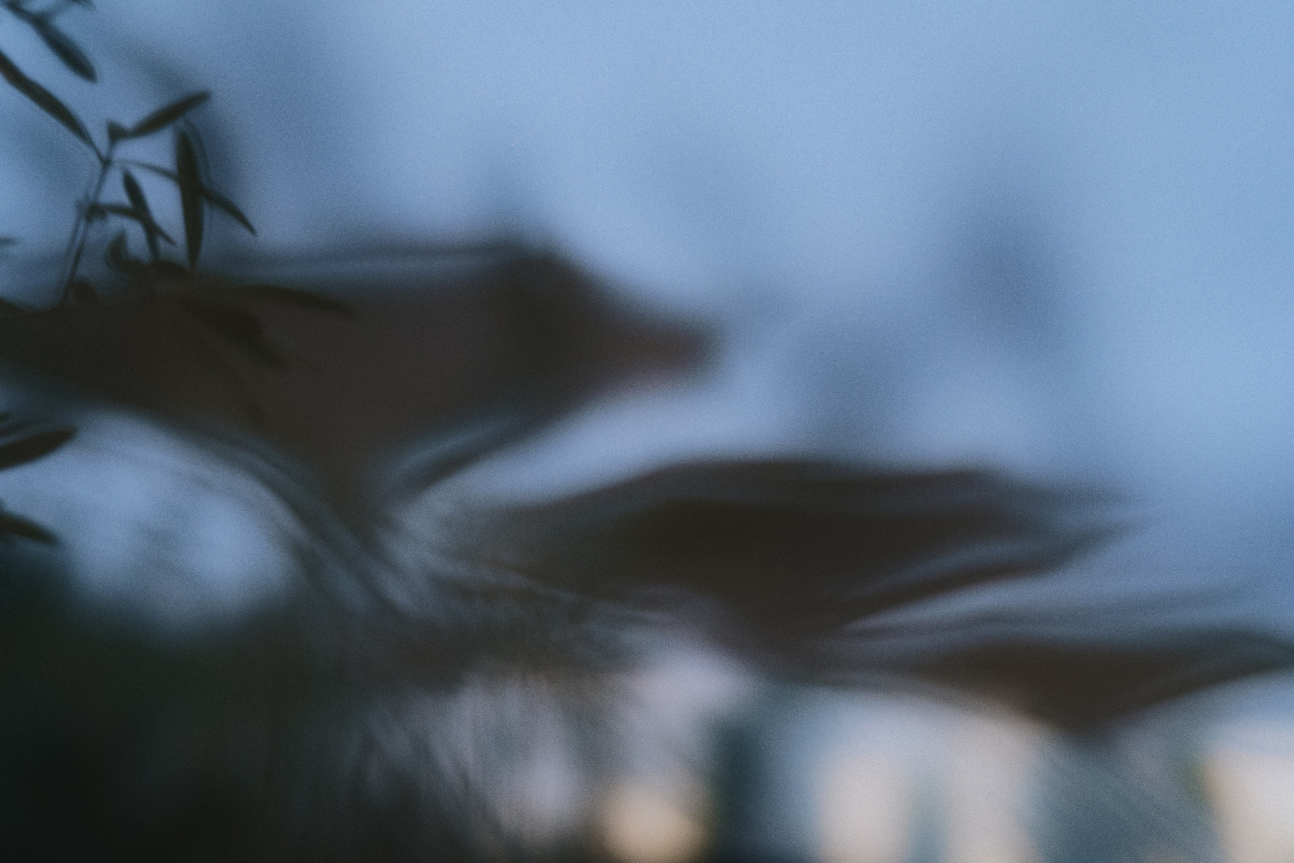 Café krasnodar. Фотограф Юрин Евгений