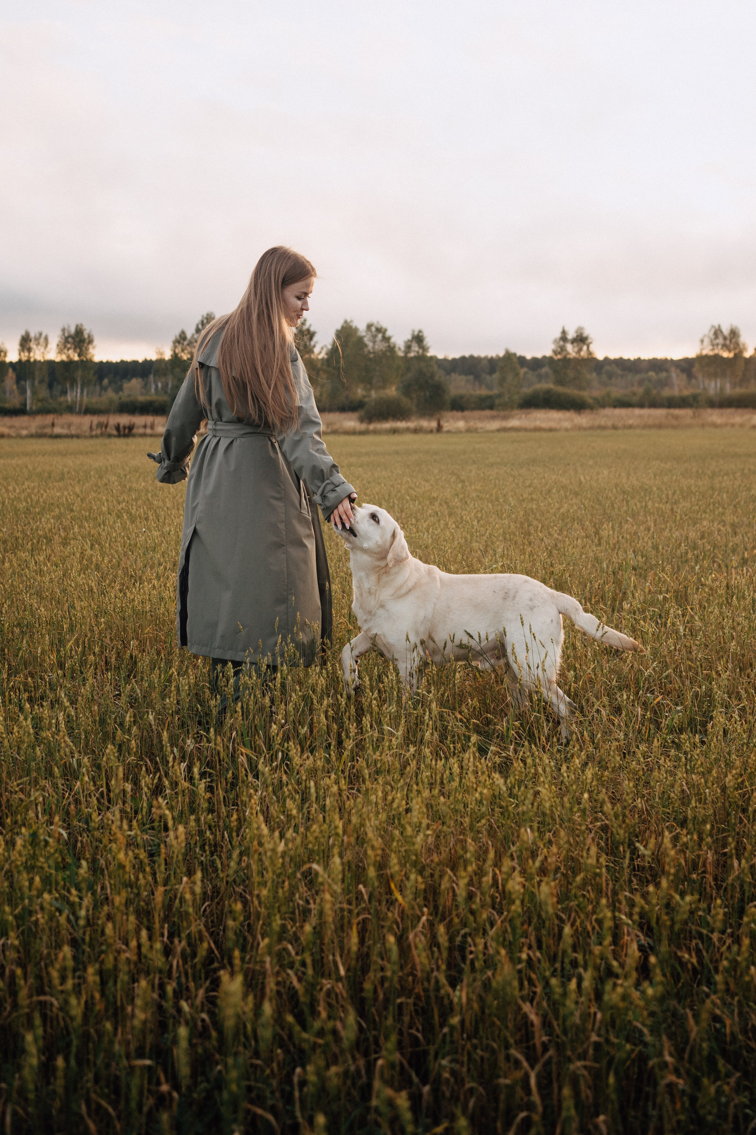 Дана и Арчи. Фотограф-анималист Анастасия Большакова