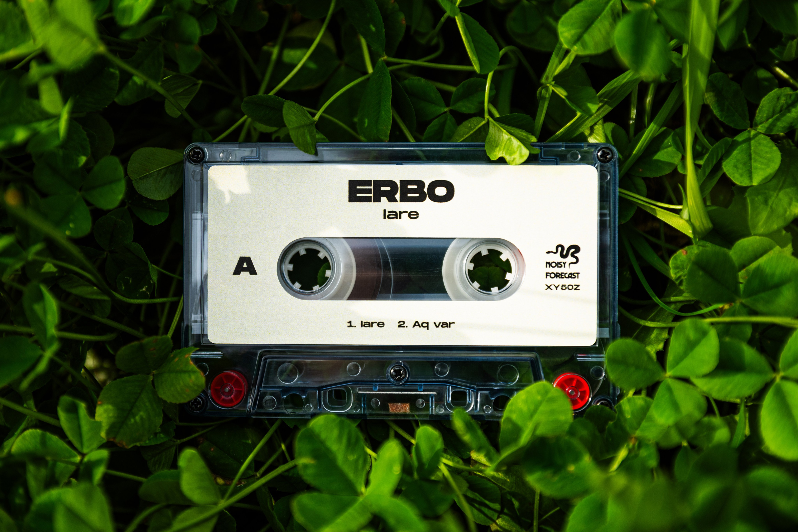 Мерч. Репортажный фотограф в Москве Legiodot