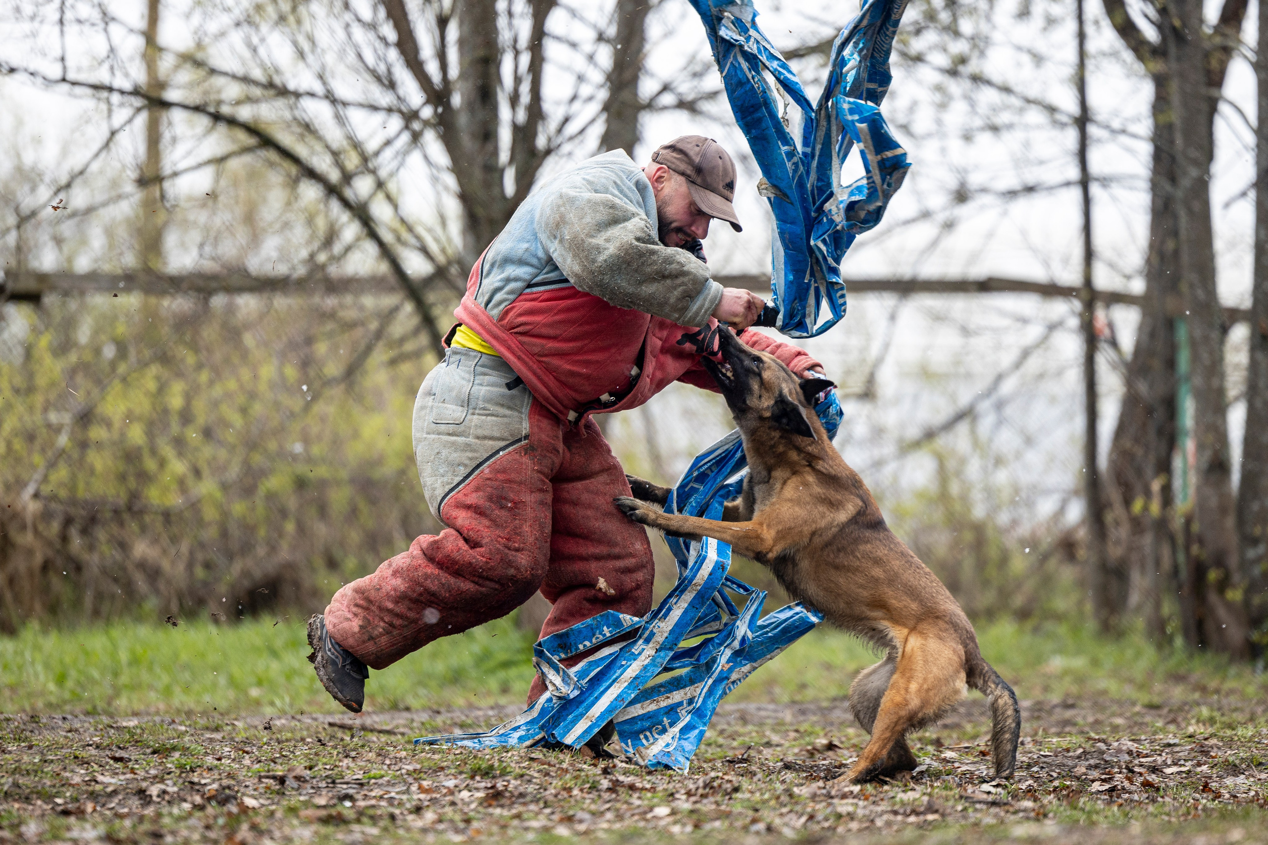 Квалификационные состязания по мондьорингу г. Вологда 11.05.24. Фотограф-анималист Анна Маринич