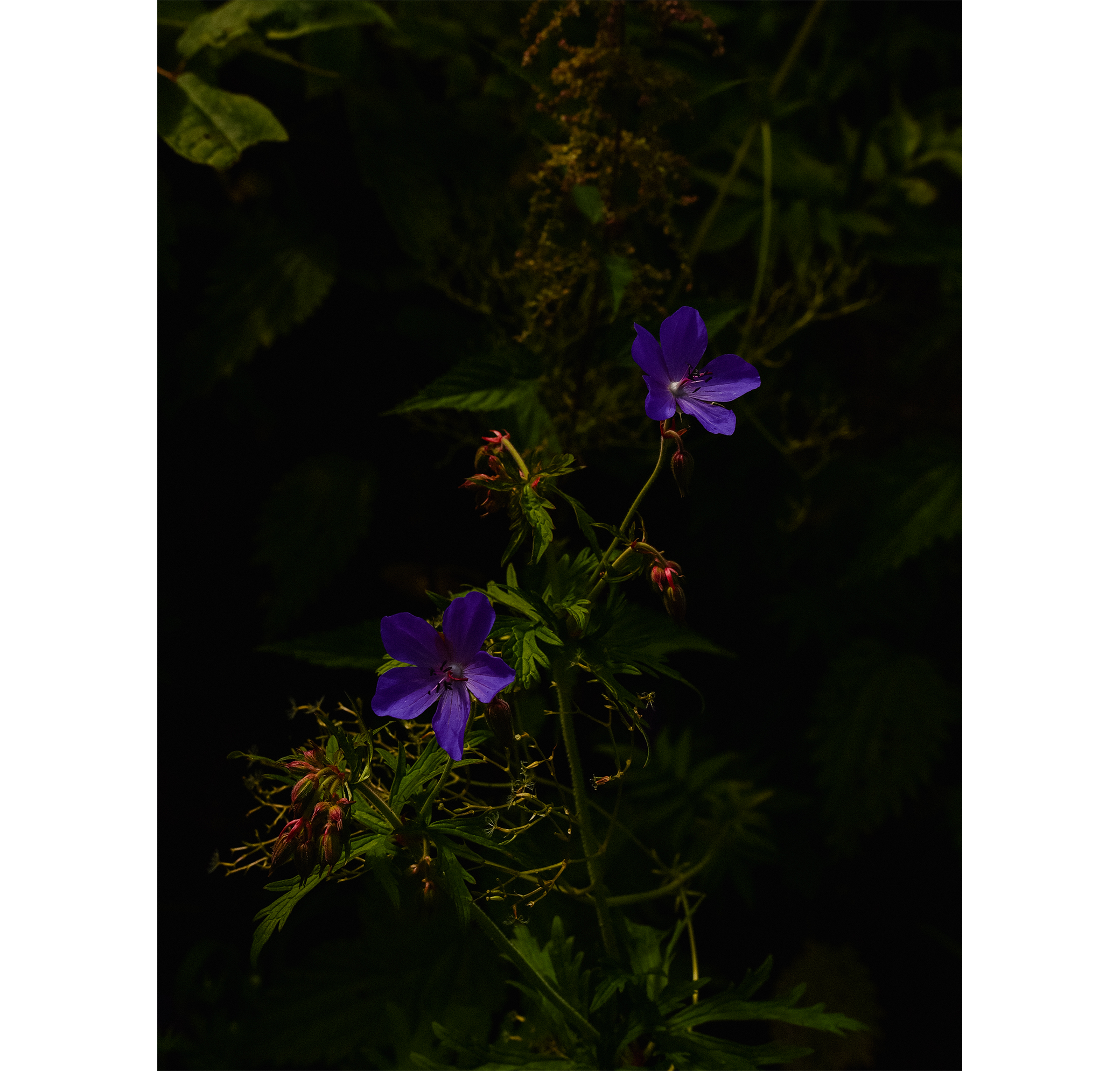 Summer hike. Фотограф/дизайнер в Екатеринбурге Хитрый Дмитрий
