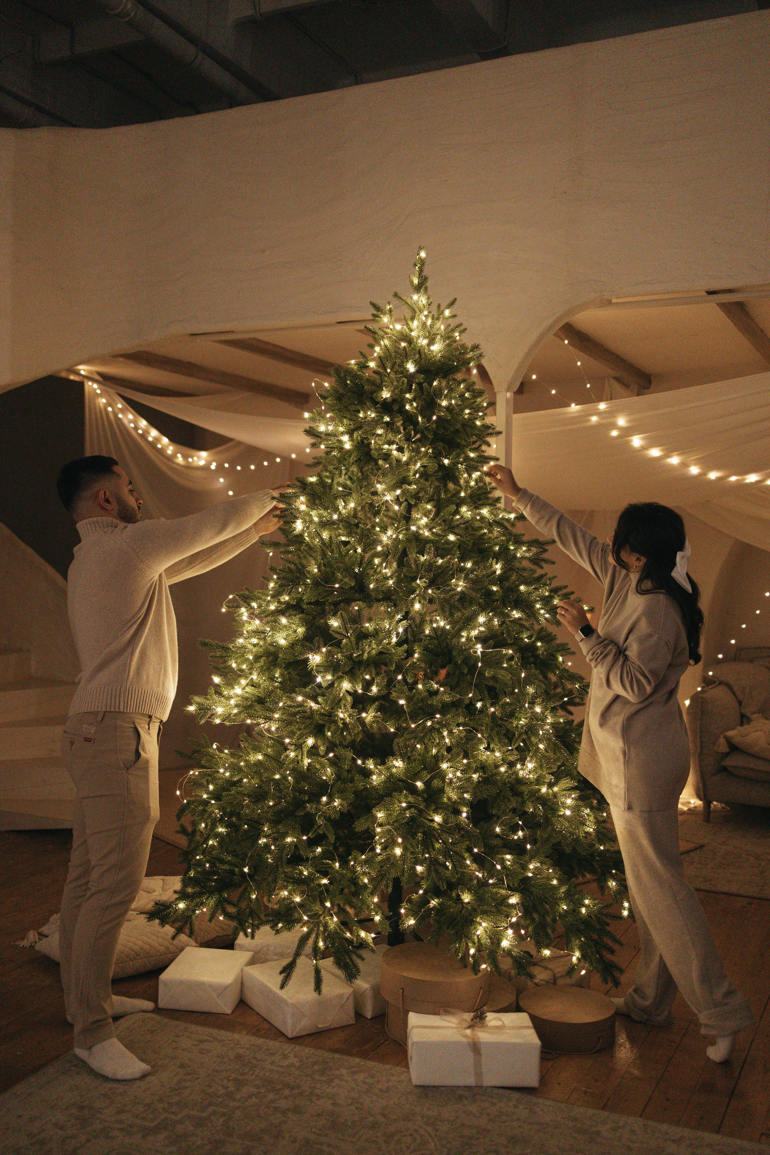 Новогодний вайб. Фотограф Алина Мкртычева