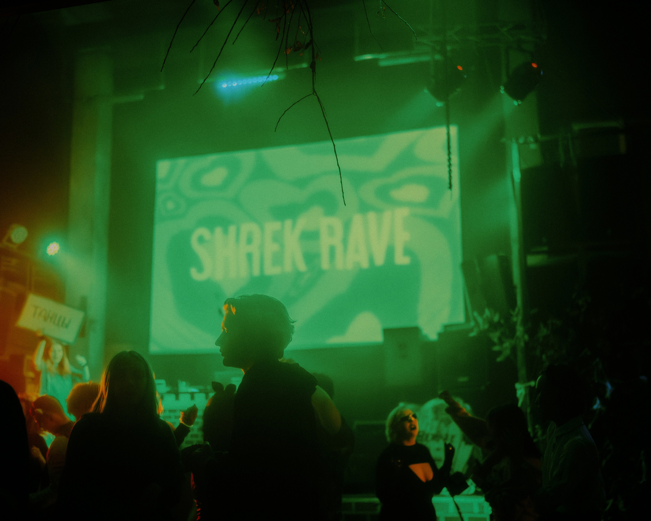 Shrek Rave 2. Кутнов Владислав | Портретная и городская фотосессии | Санкт-Петербург