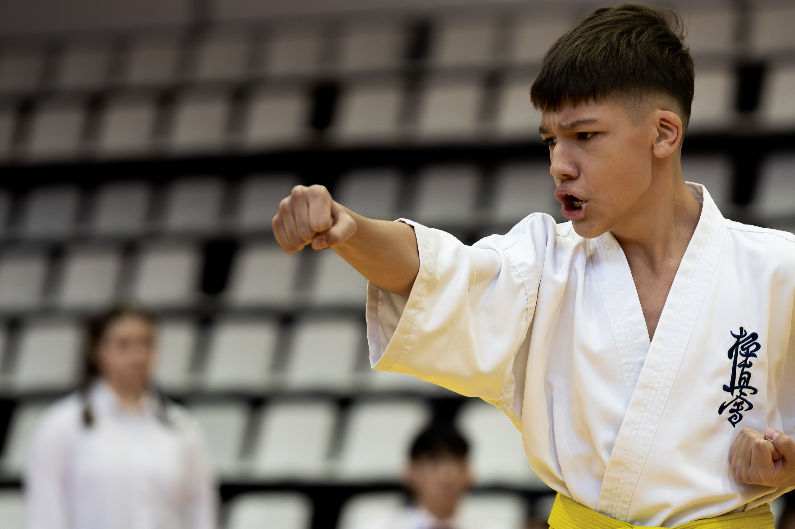 Карате. Ката. Главная