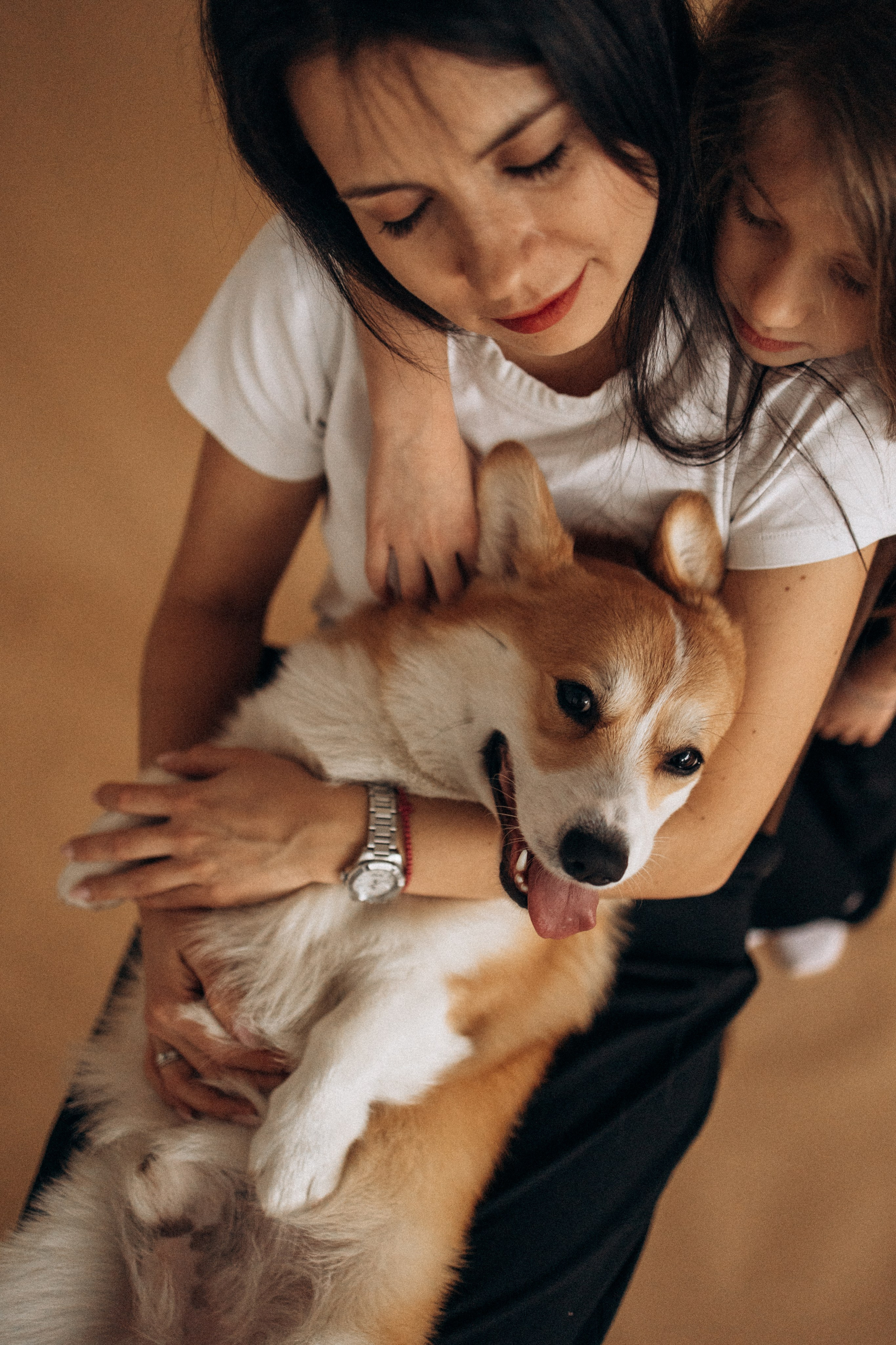 Зевс и его семья. Фотораф — анималист Мария Шистка