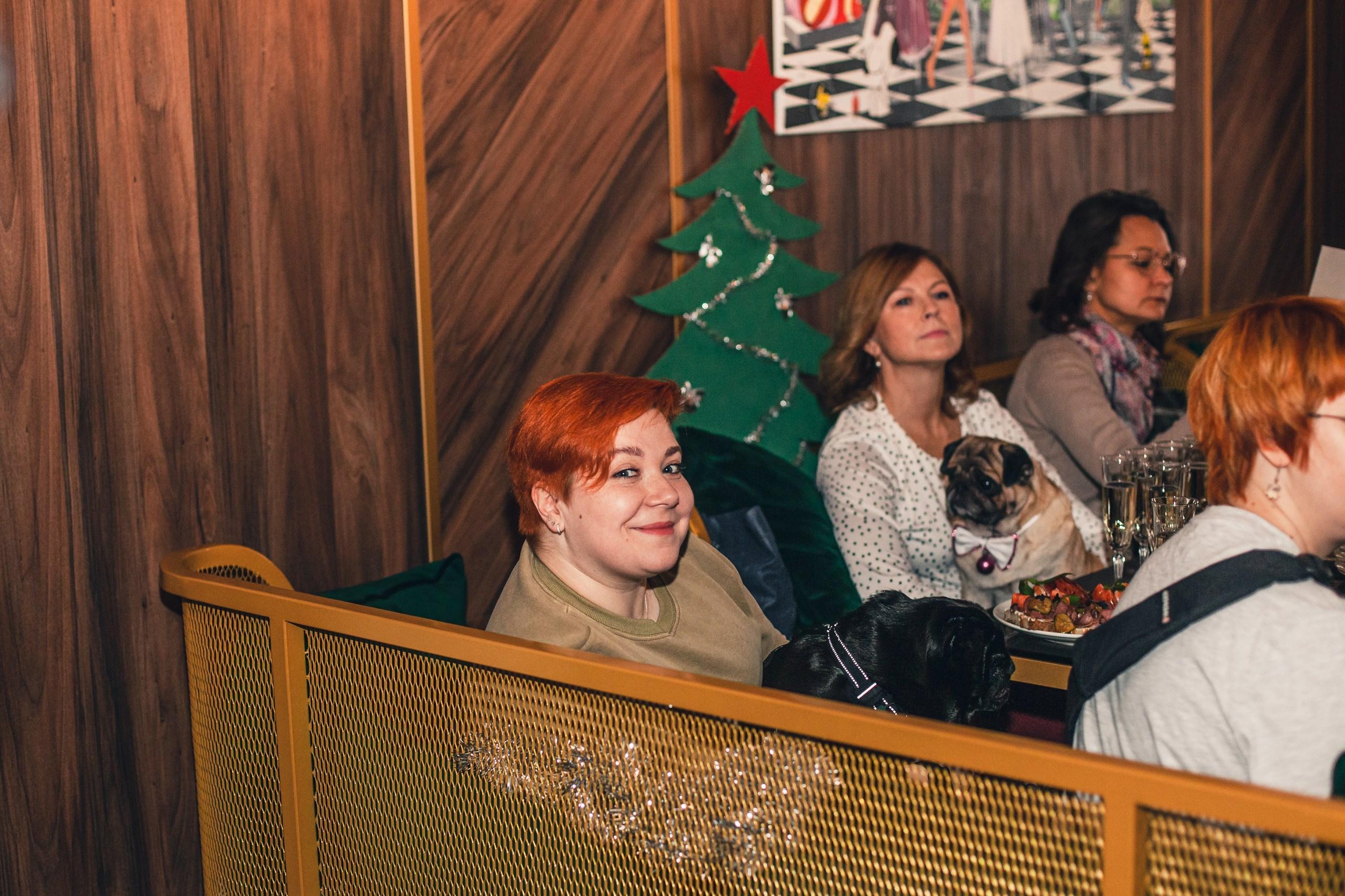 Мопсовстреча 02.12.2023. Фотограф-анималист Татьяна Степанова