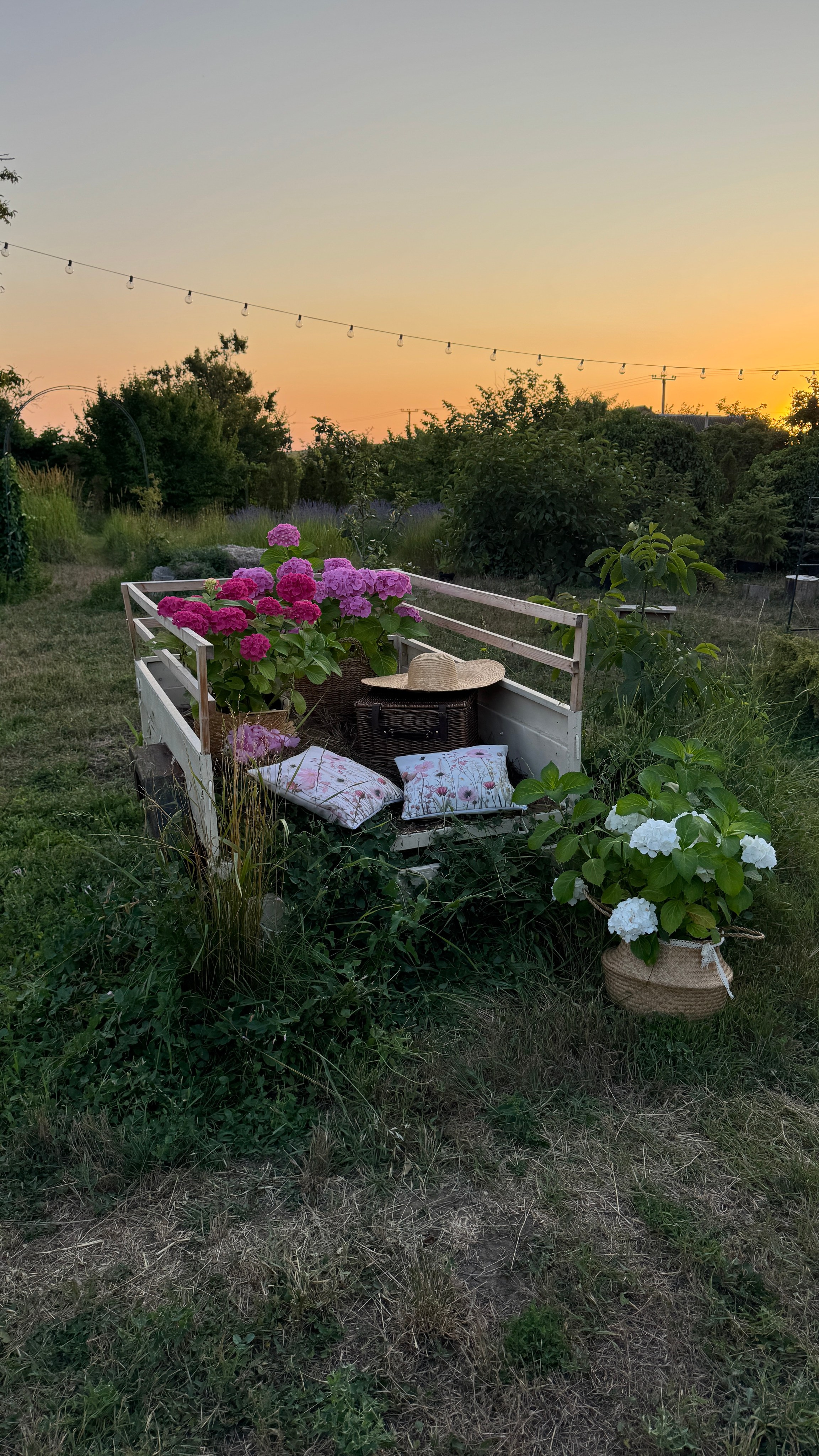 Локации с цветами. Фотостудия Натальи Забродской