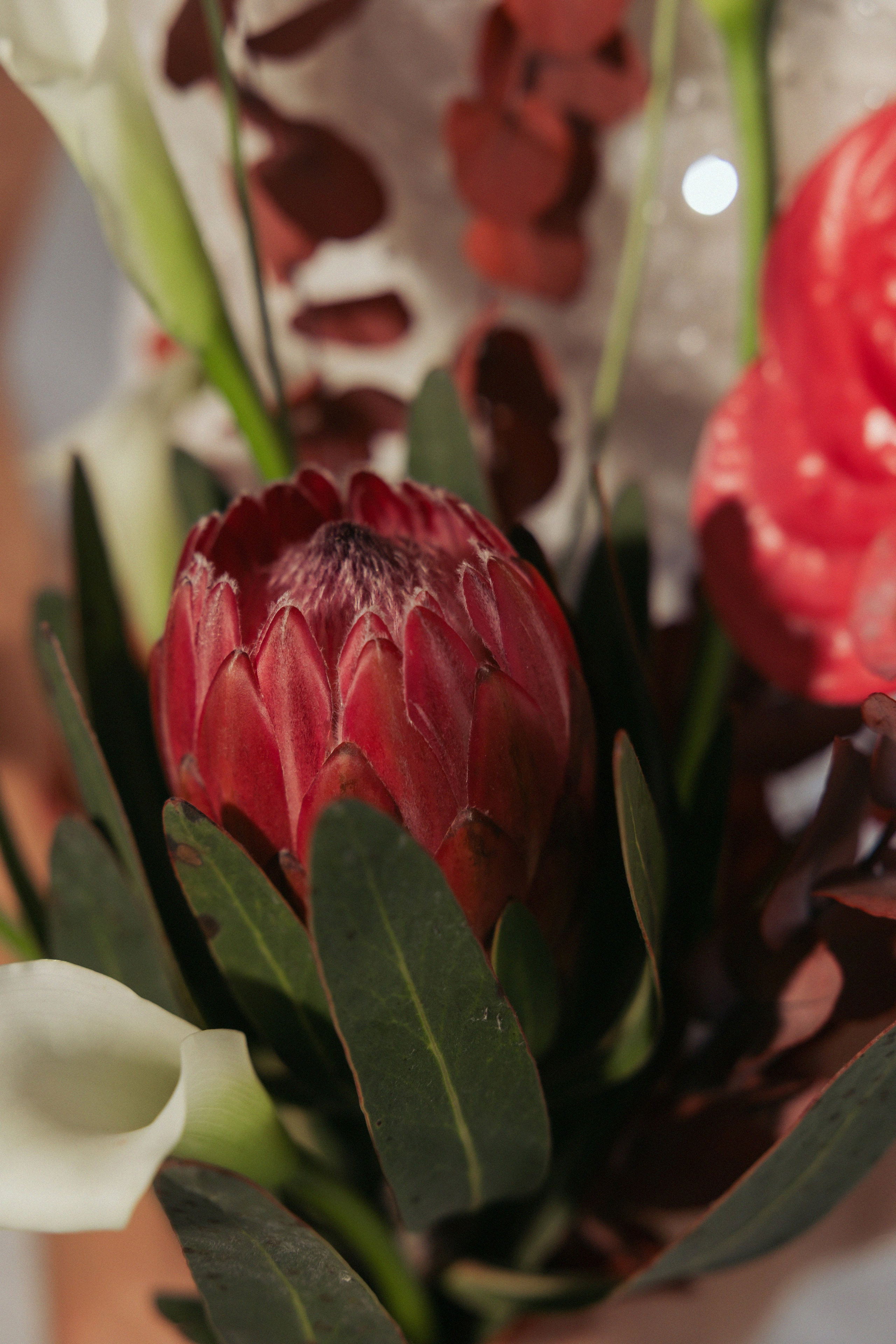 Саша и Наташа. Свадебный фотограф в Рязани и Москве Евгения Жмурова