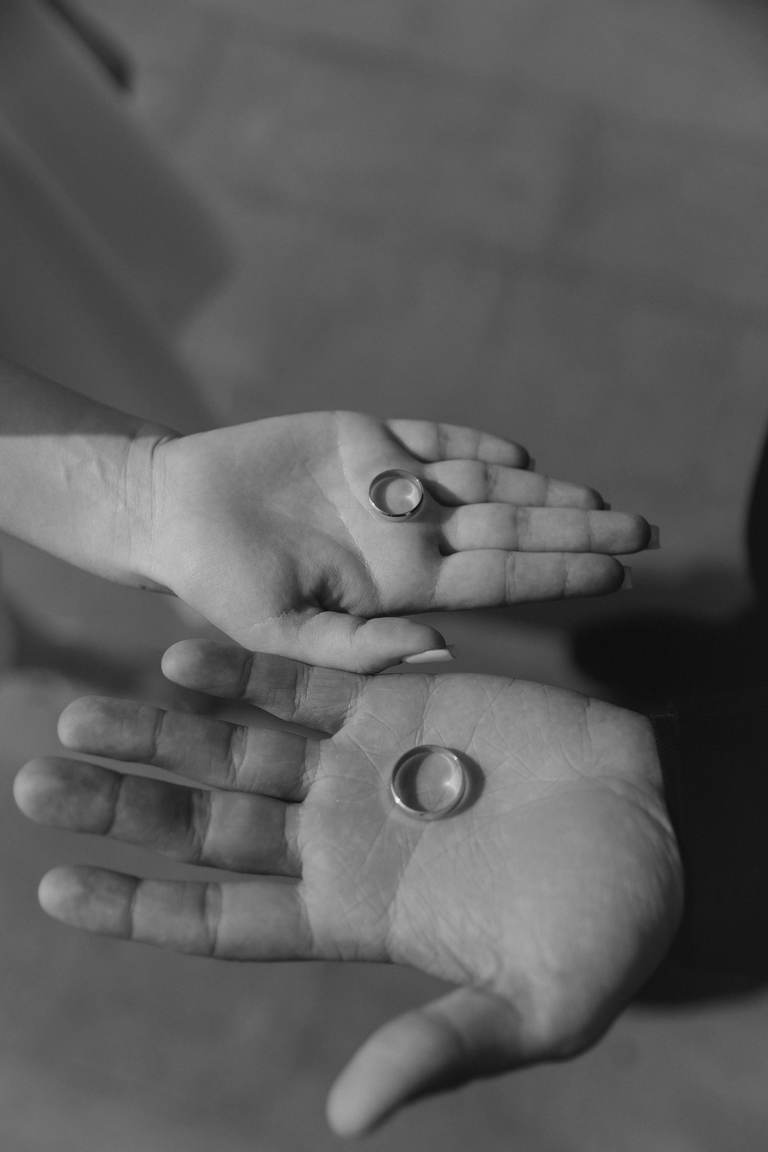 Артем и Кристина. Свадебный фотограф в Краснодаре Ольга Цвиченко