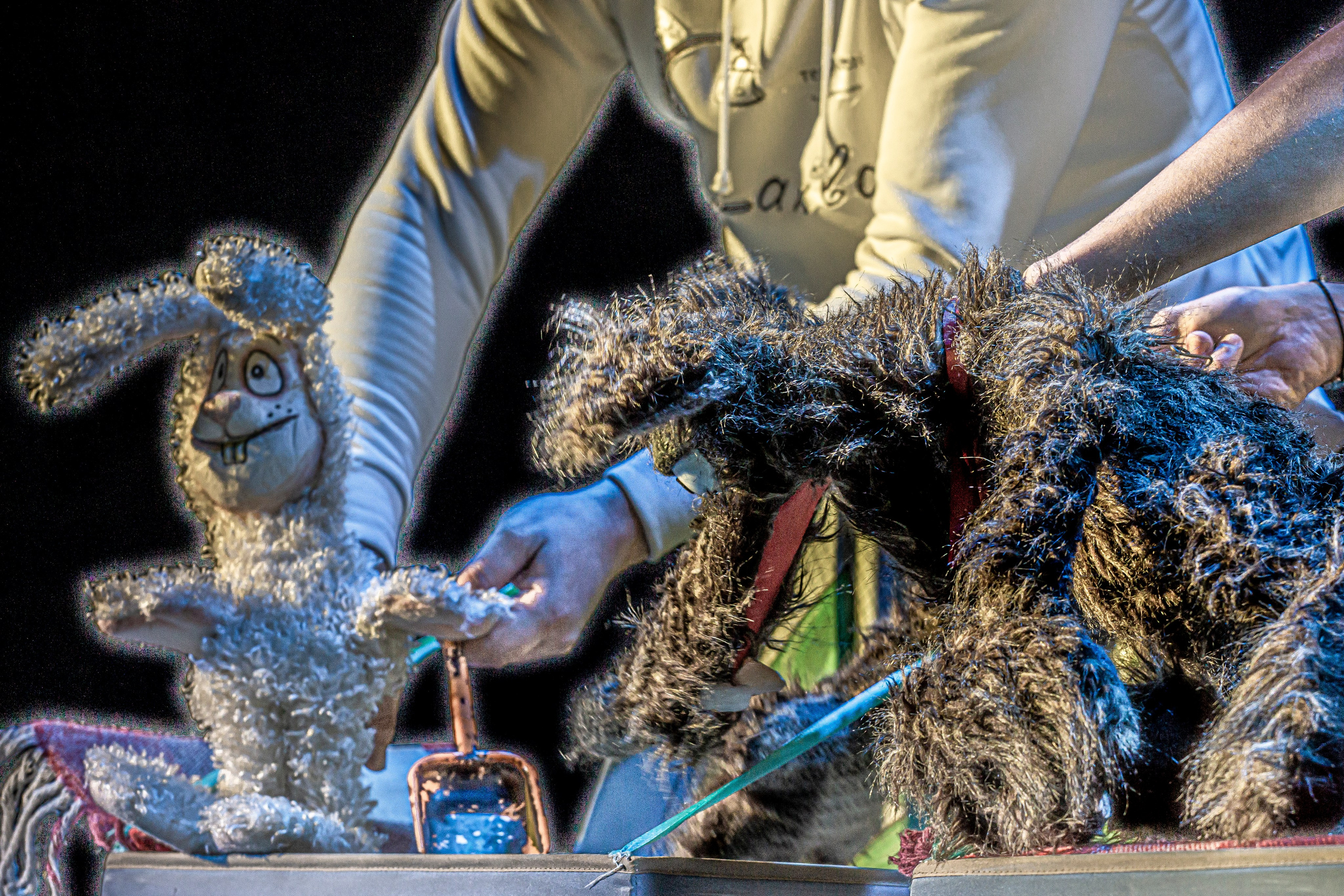 Спектакль театра Саквояж О Красной шапочке. Фотограф в Сочи Юрий Шептаев