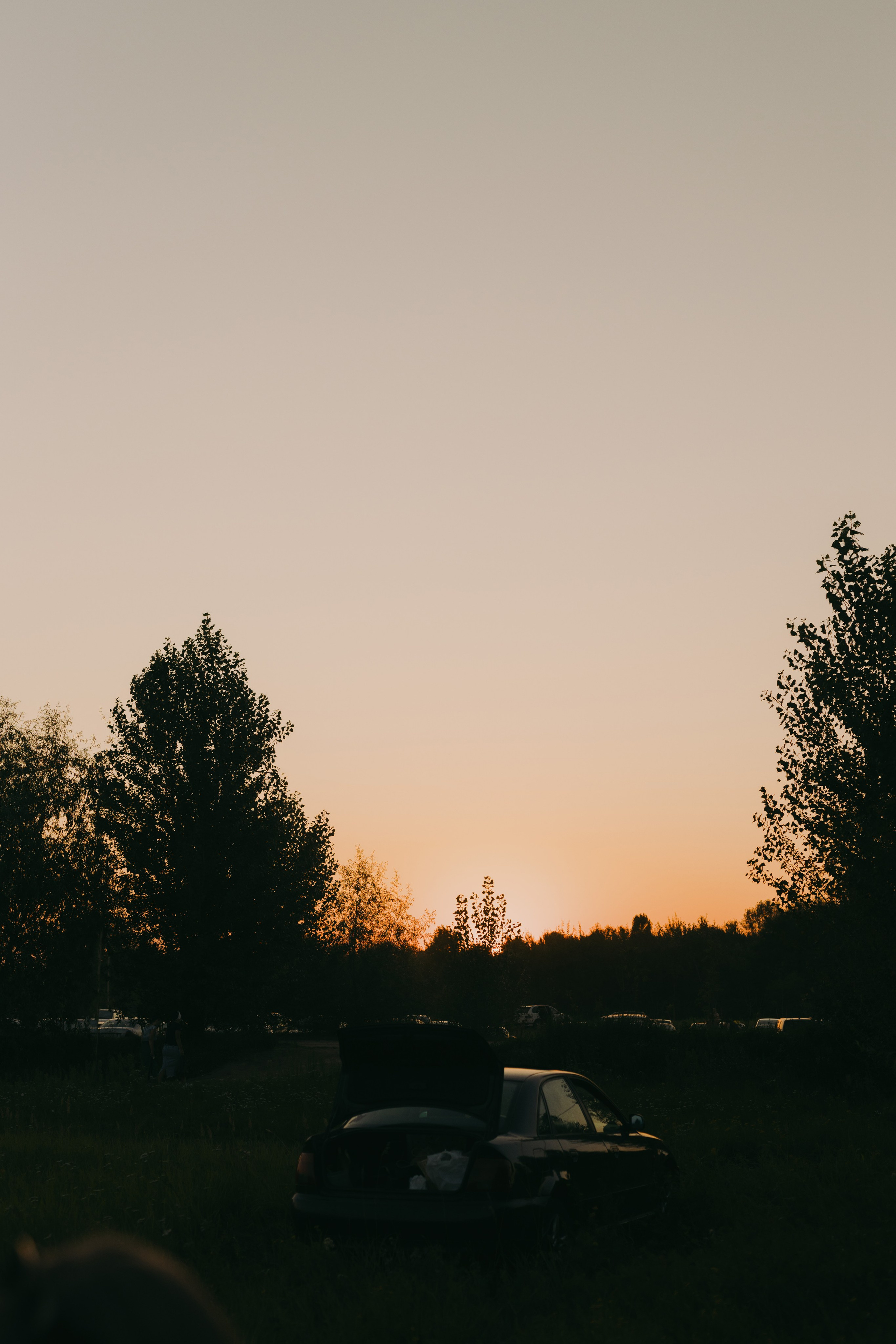 MK Luna Decor. Свадебные фотографы в Гомеле и Минске Сергей и Анастасия Фещенок