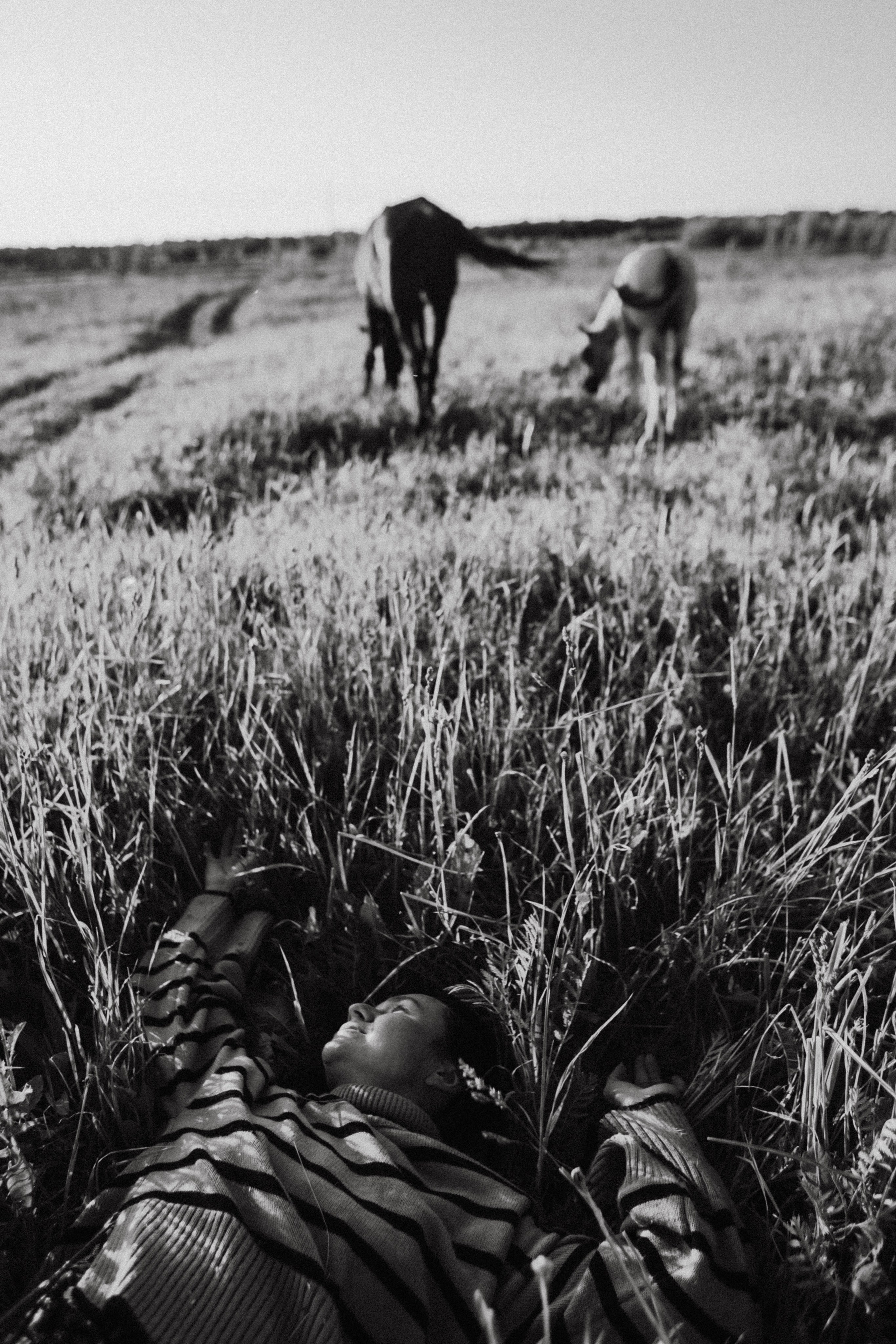 Варвара. Лошади. Закат. Фотограф в Нижнем Новгороде