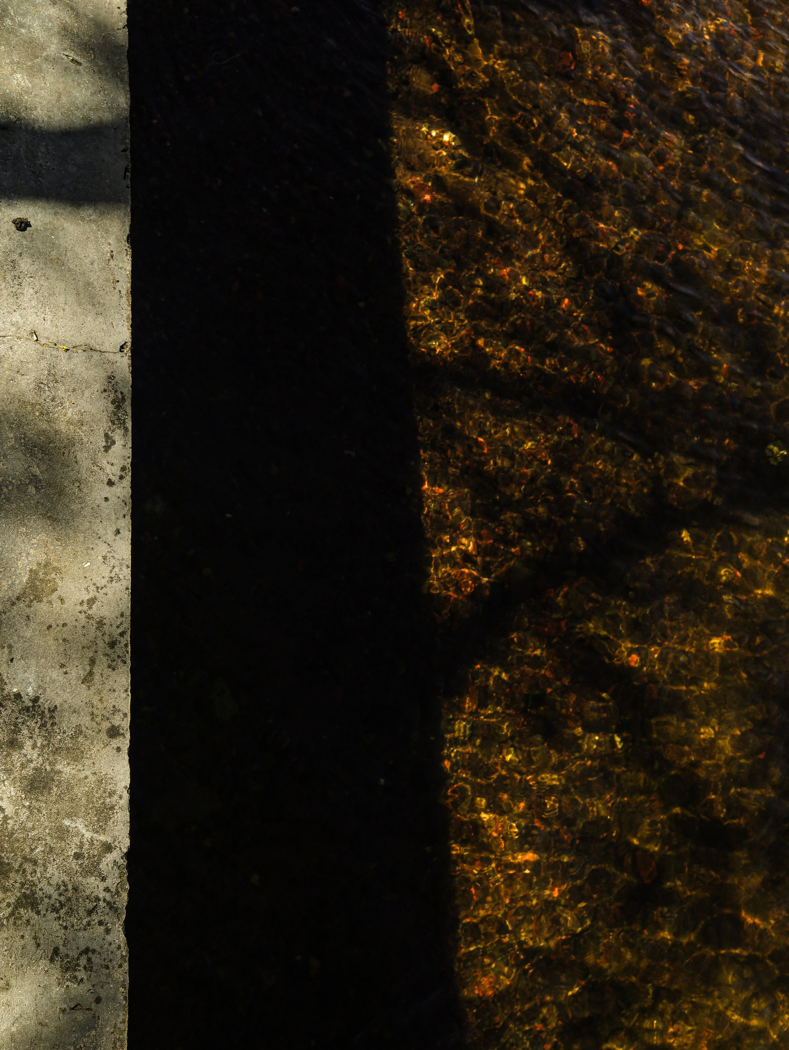 Природа &. Фотохудожник в СПб