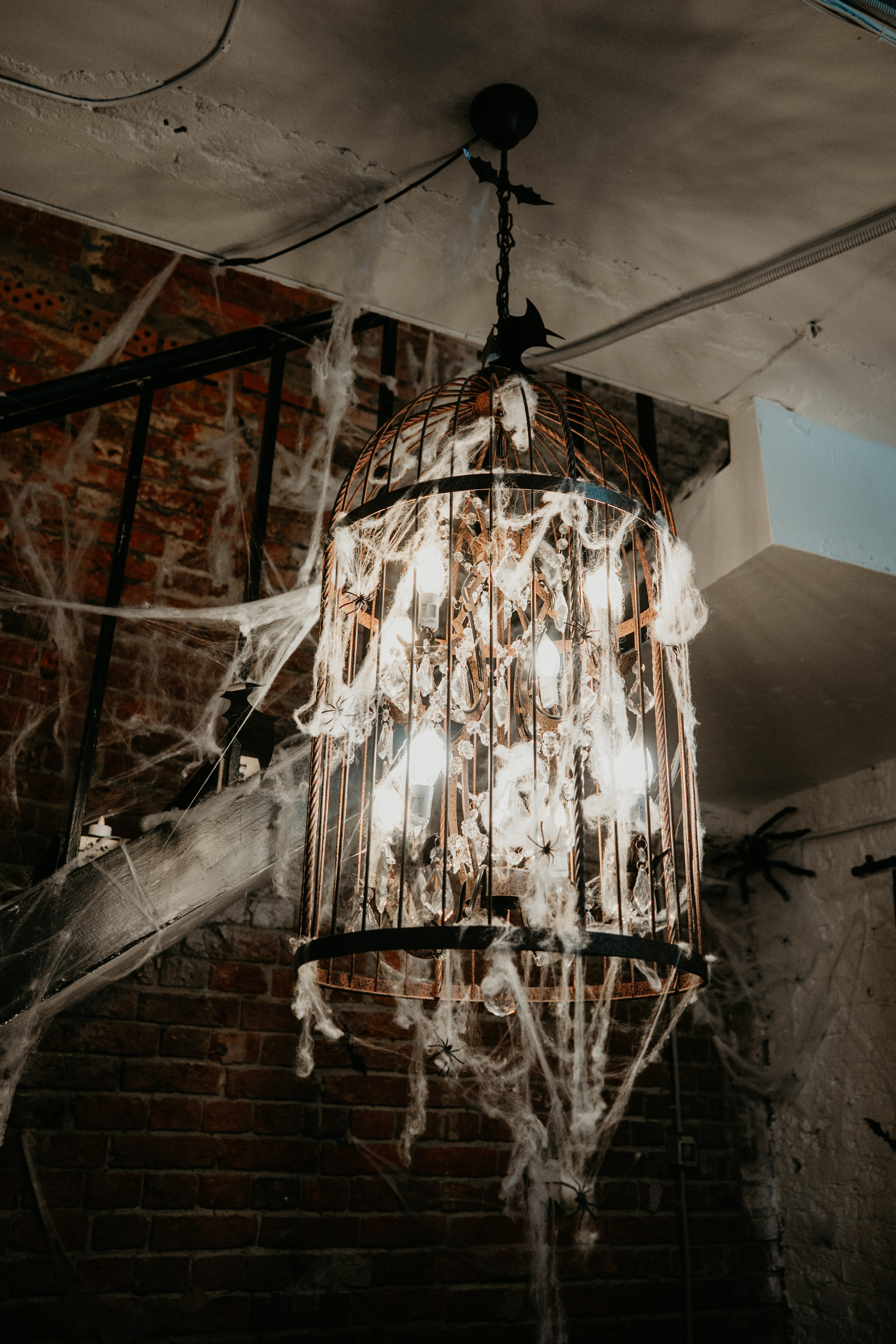 Кооператив Halloween. Концептуальный фотограф Шлыкова Ольга