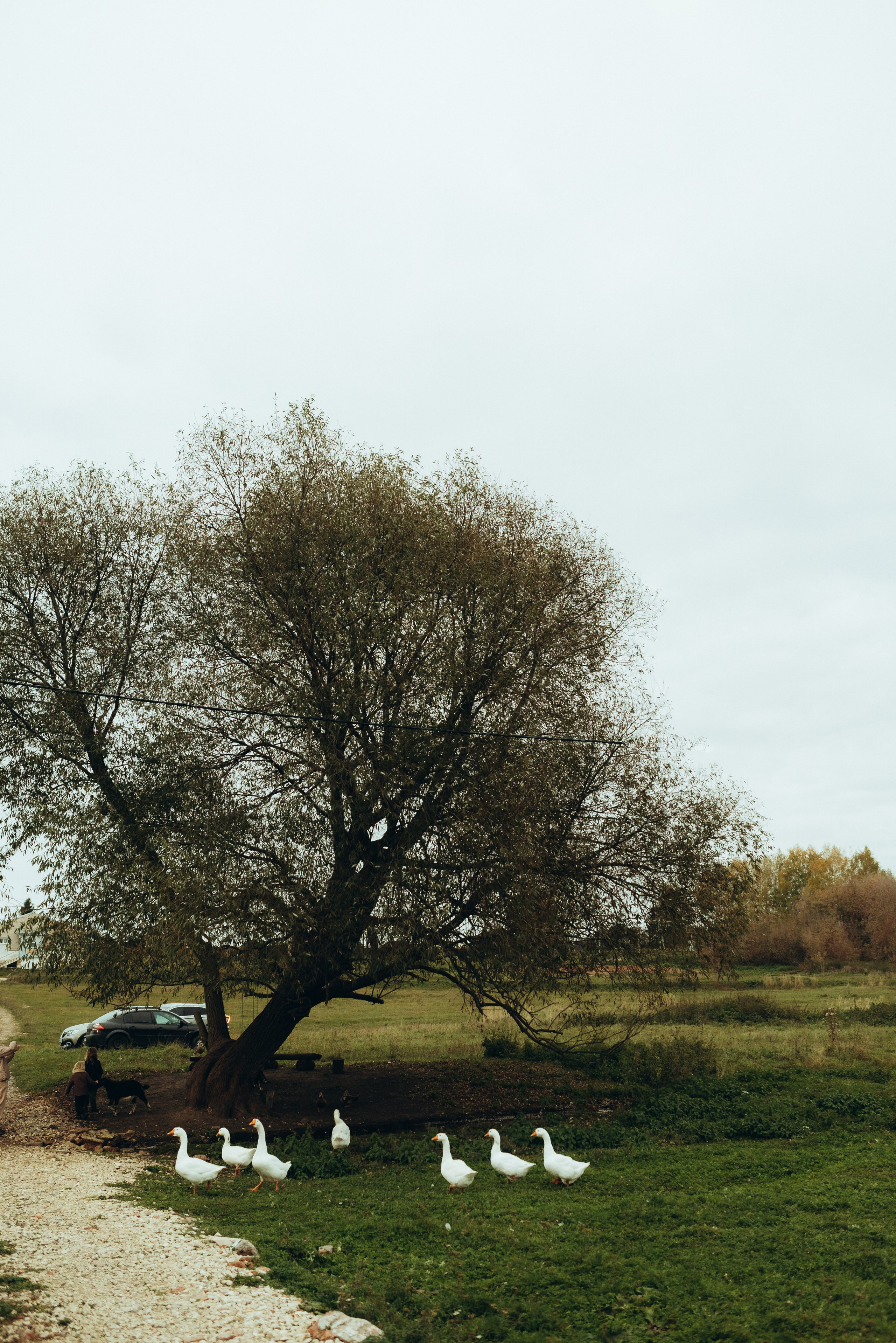 Самые дружные!. Свадебный фотограф Анастасия Бударина