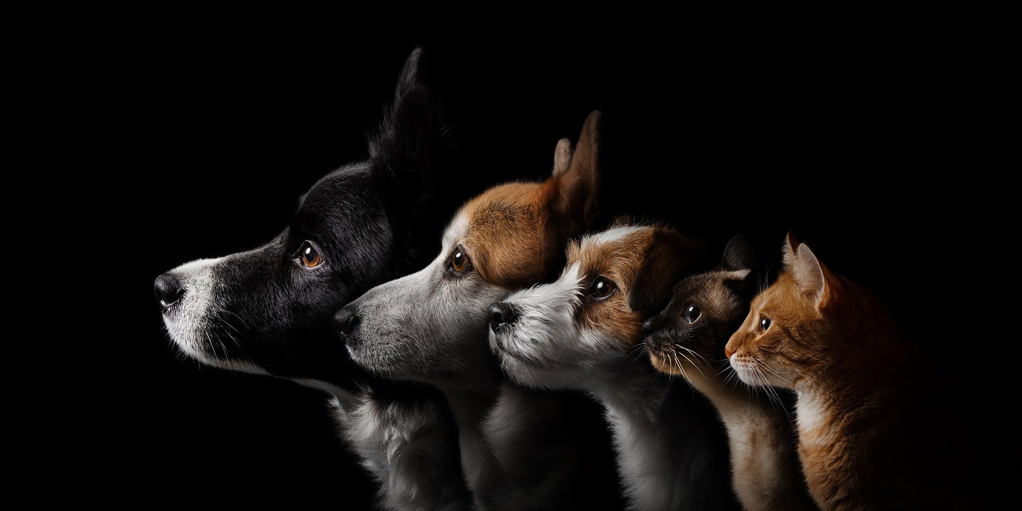 Проект портреты на чёрном фоне. Фотограф Анна Тюрина