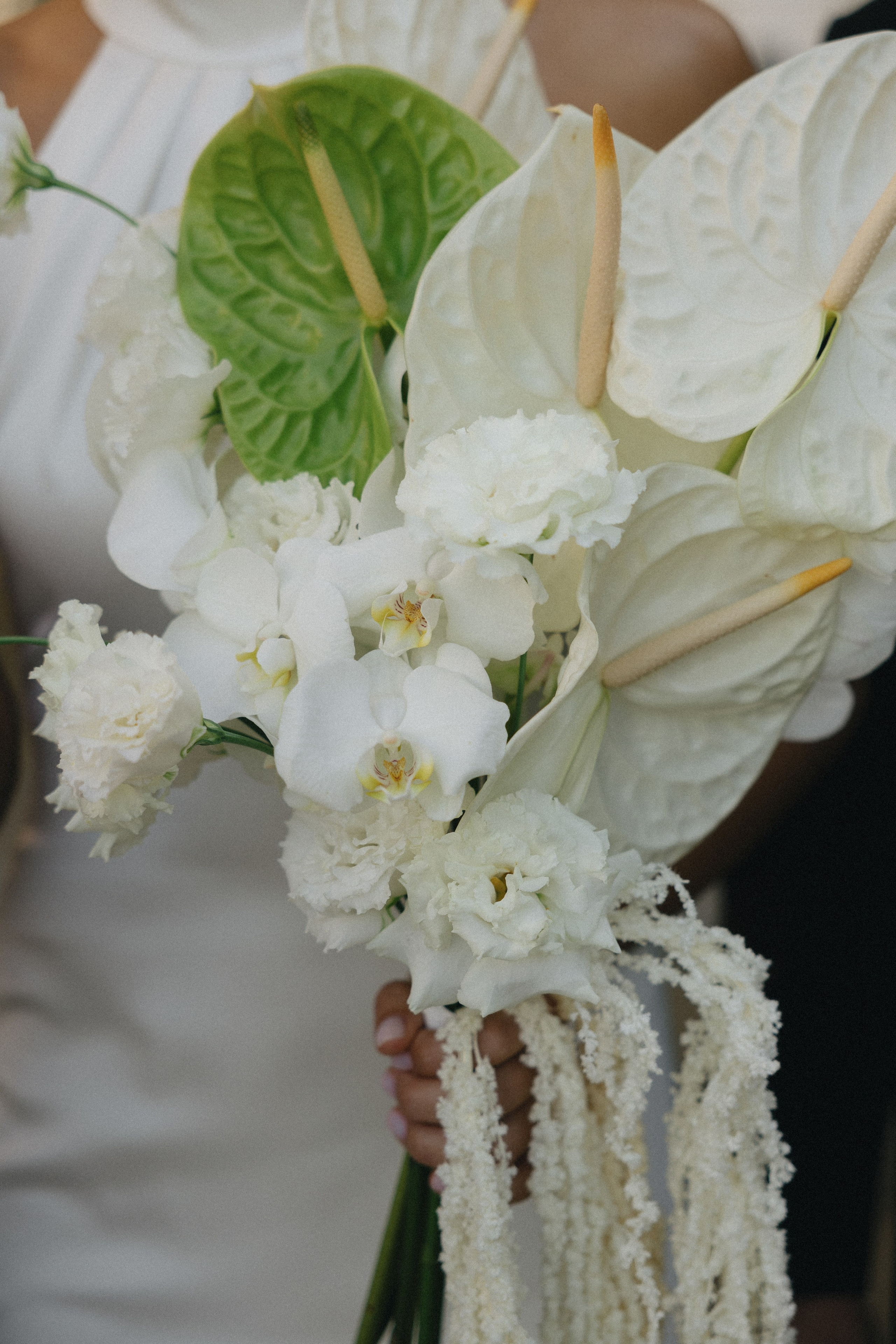 Лиза Илья. Свадебный и репортажный фотограф Новороссийск, Краснодар, Сочи Олеся Дзюба