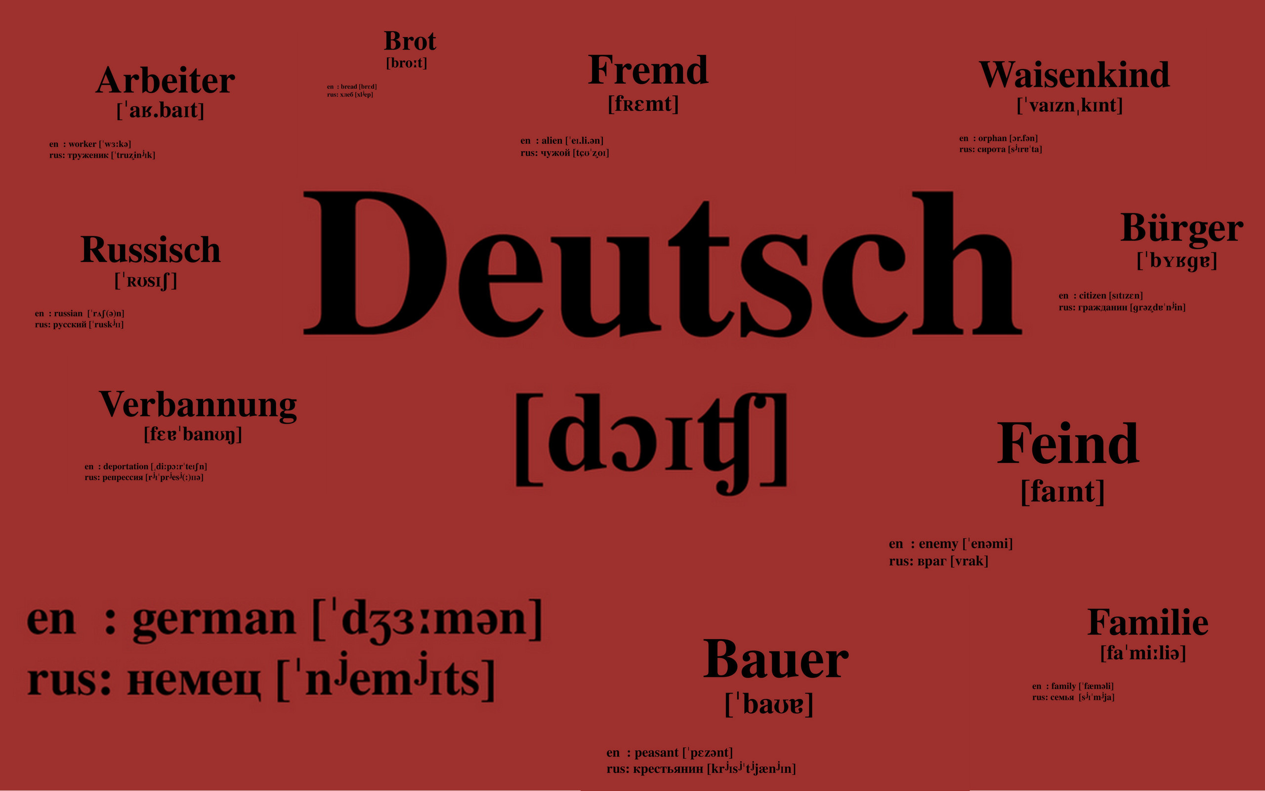 Саша Бауэр персональная выставка