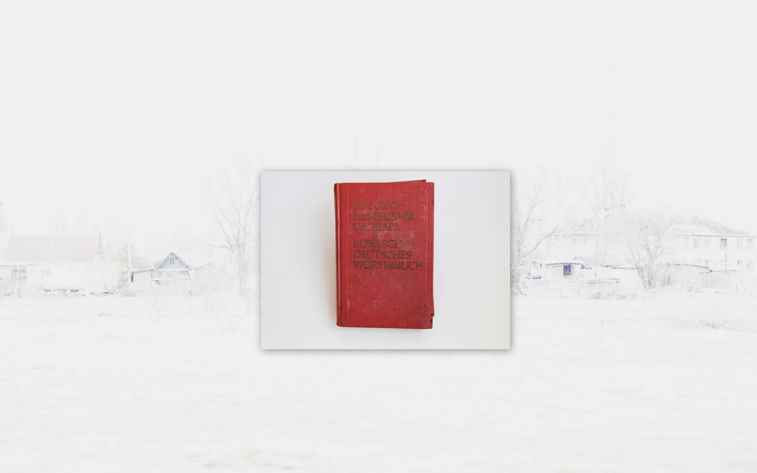 Саша Бауэр персональная выставка