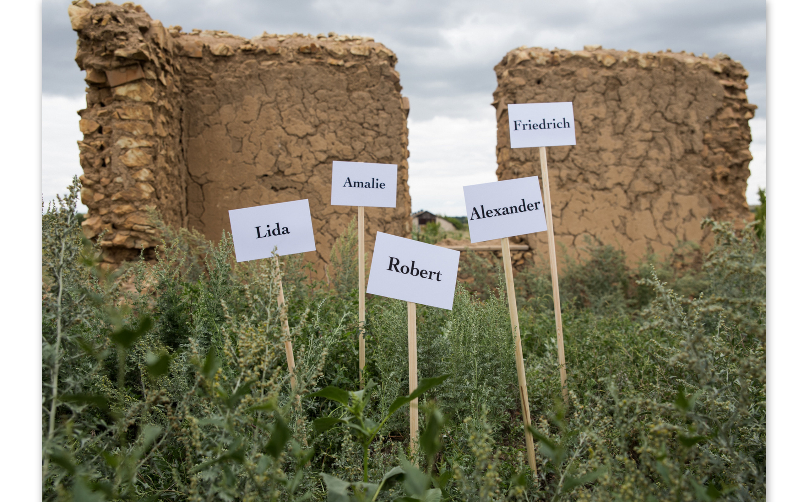 Саша Бауэр персональная выставка