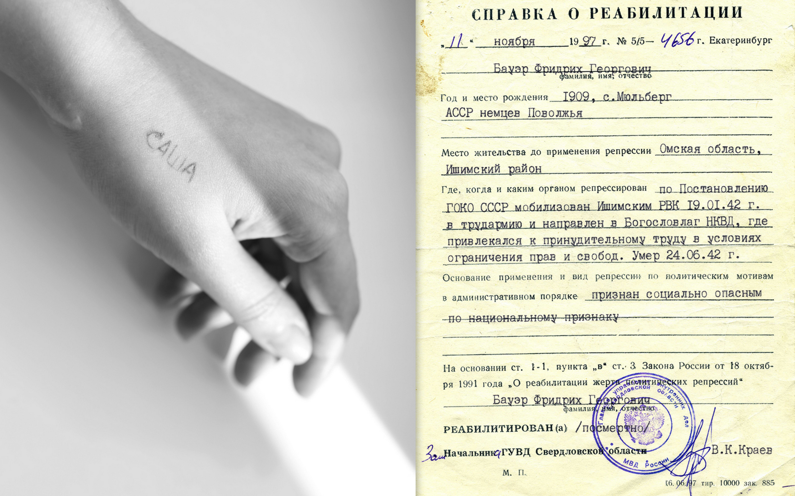 Саша Бауэр персональная выставка