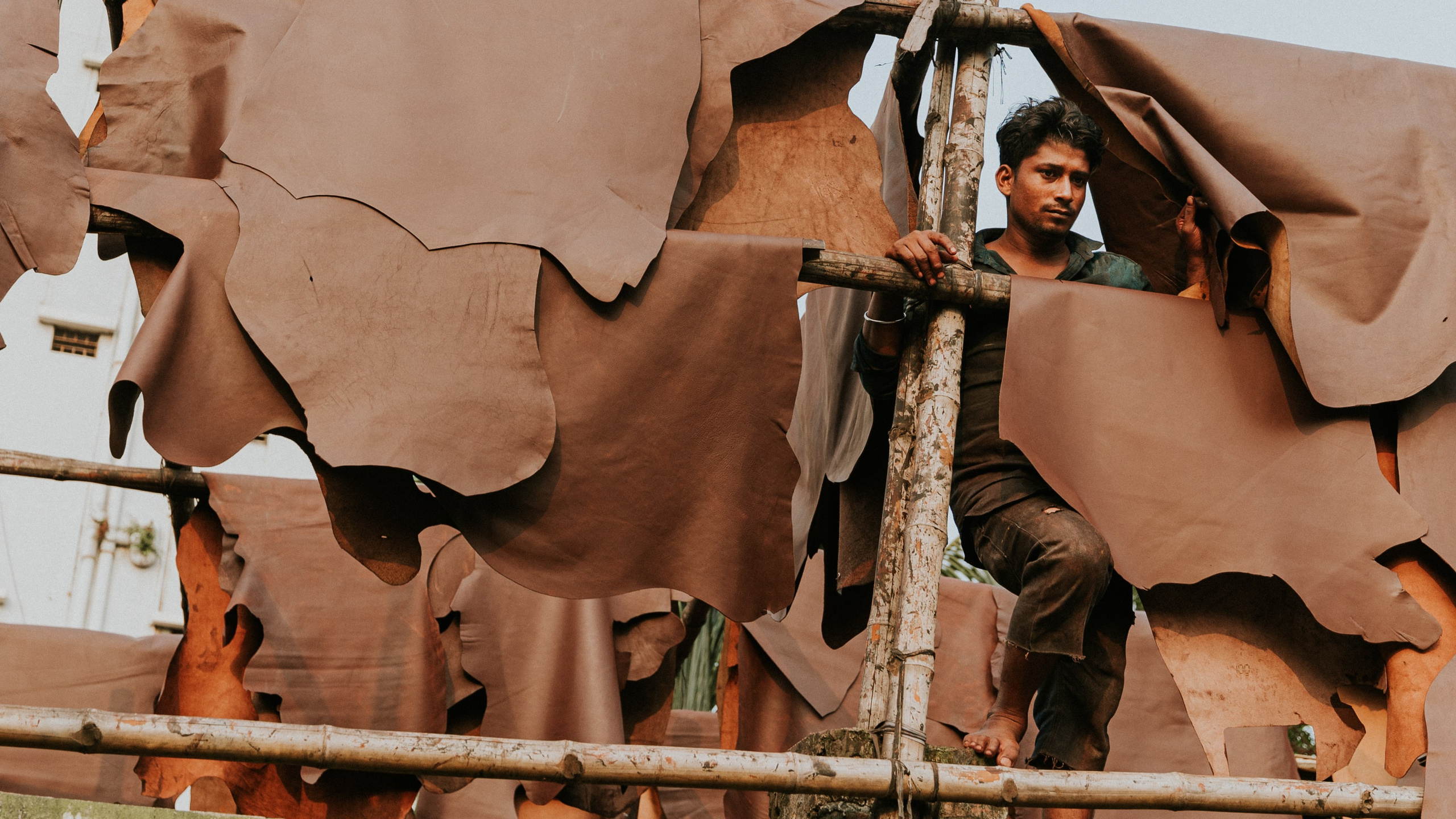 Путешествия. Оператор Мария Боровкова