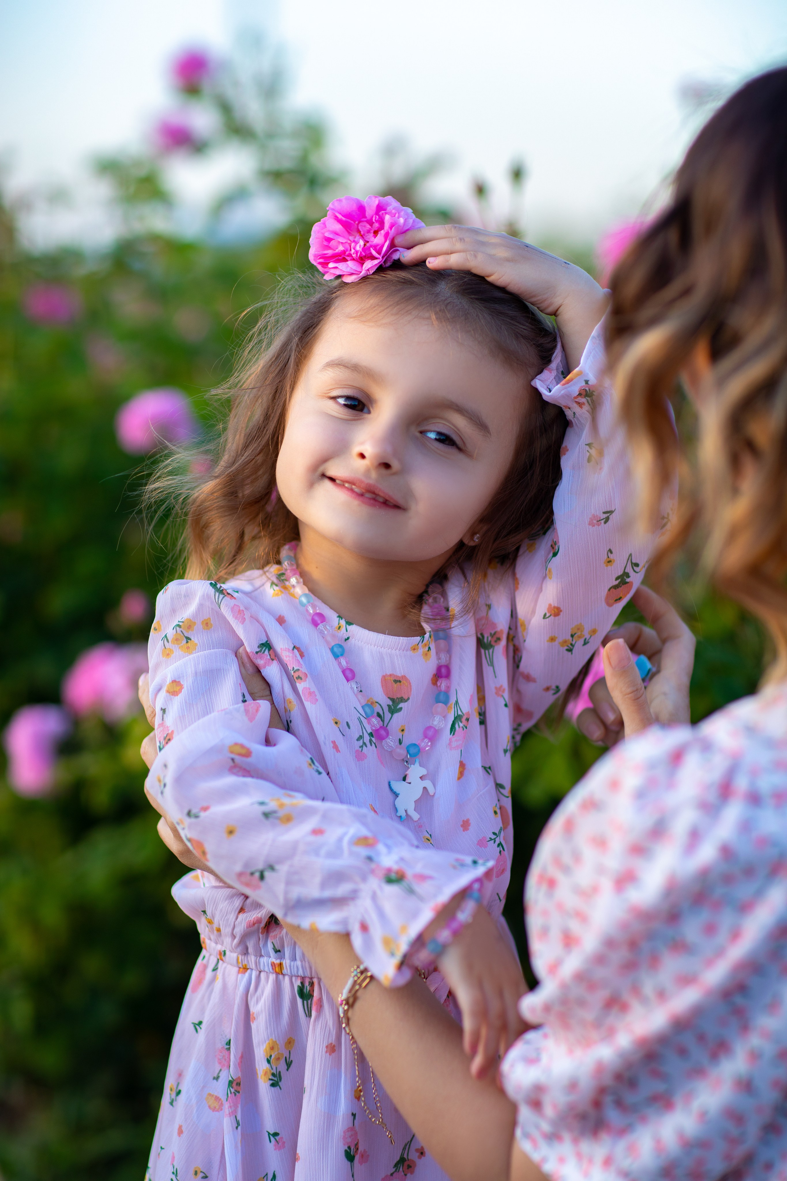 Чайная роза. Фотограф Севастополь/Крым Светлана Евтушенко